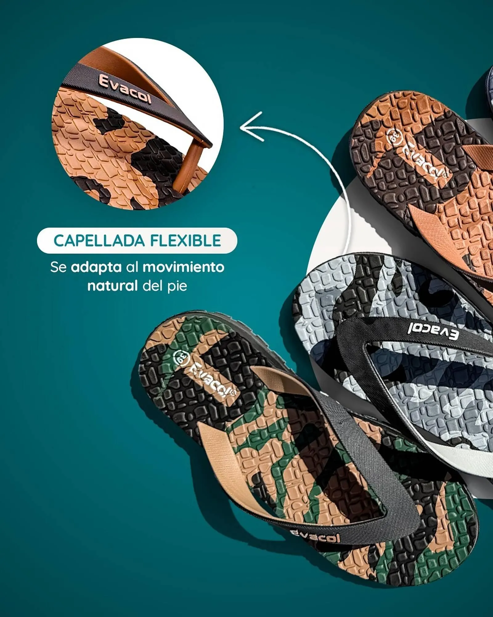 Catalogo de Catálogo Evacol 11 de enero al 17 de enero 2026 - Pag 2