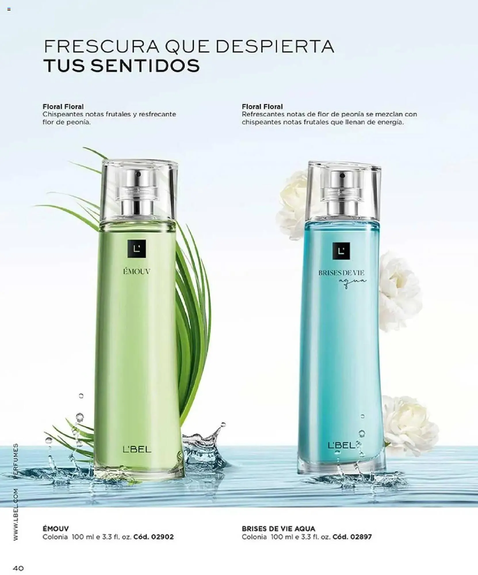 Catalogo de Catálogo L'bel 5 de mayo al 12 de julio 2025 - Pag 252