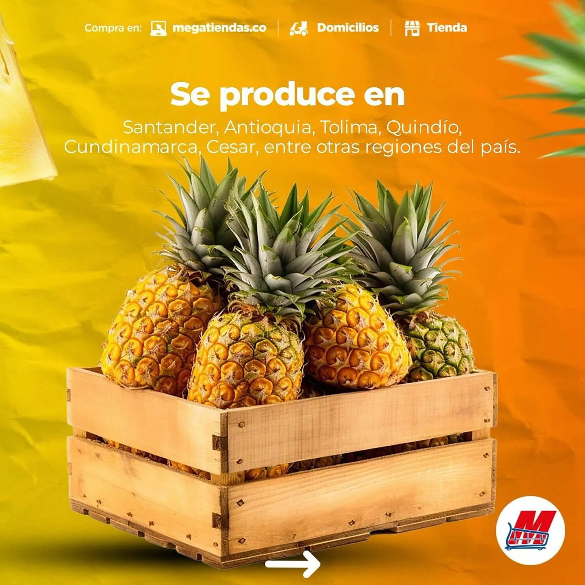 Catalogo de Catálogo MegaTiendas 14 de febrero al 20 de febrero 2025 - Pag 3