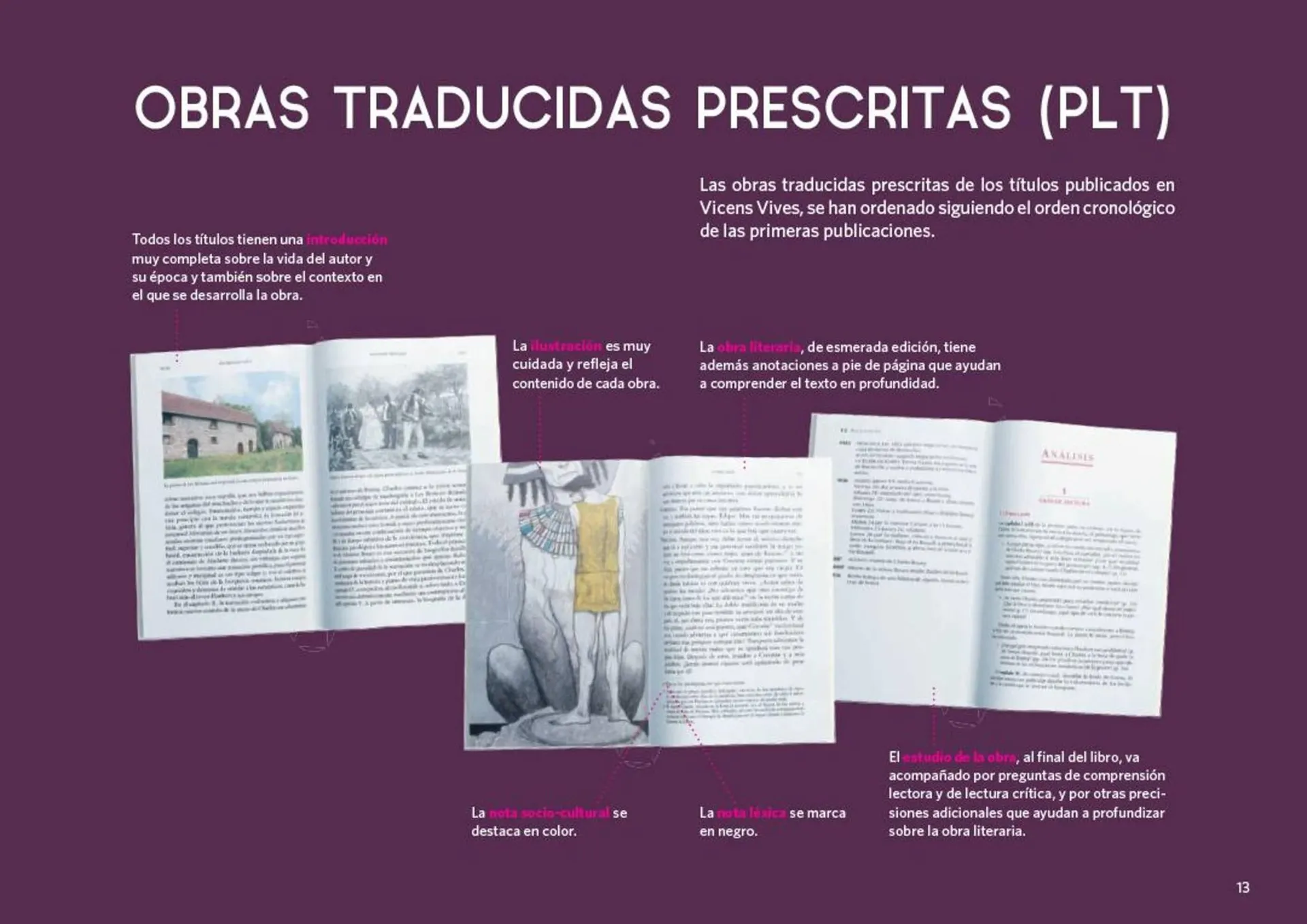 Catalogo de Catálogo Vicens Vives 26 de febrero al 31 de octubre 2026 - Pag 13