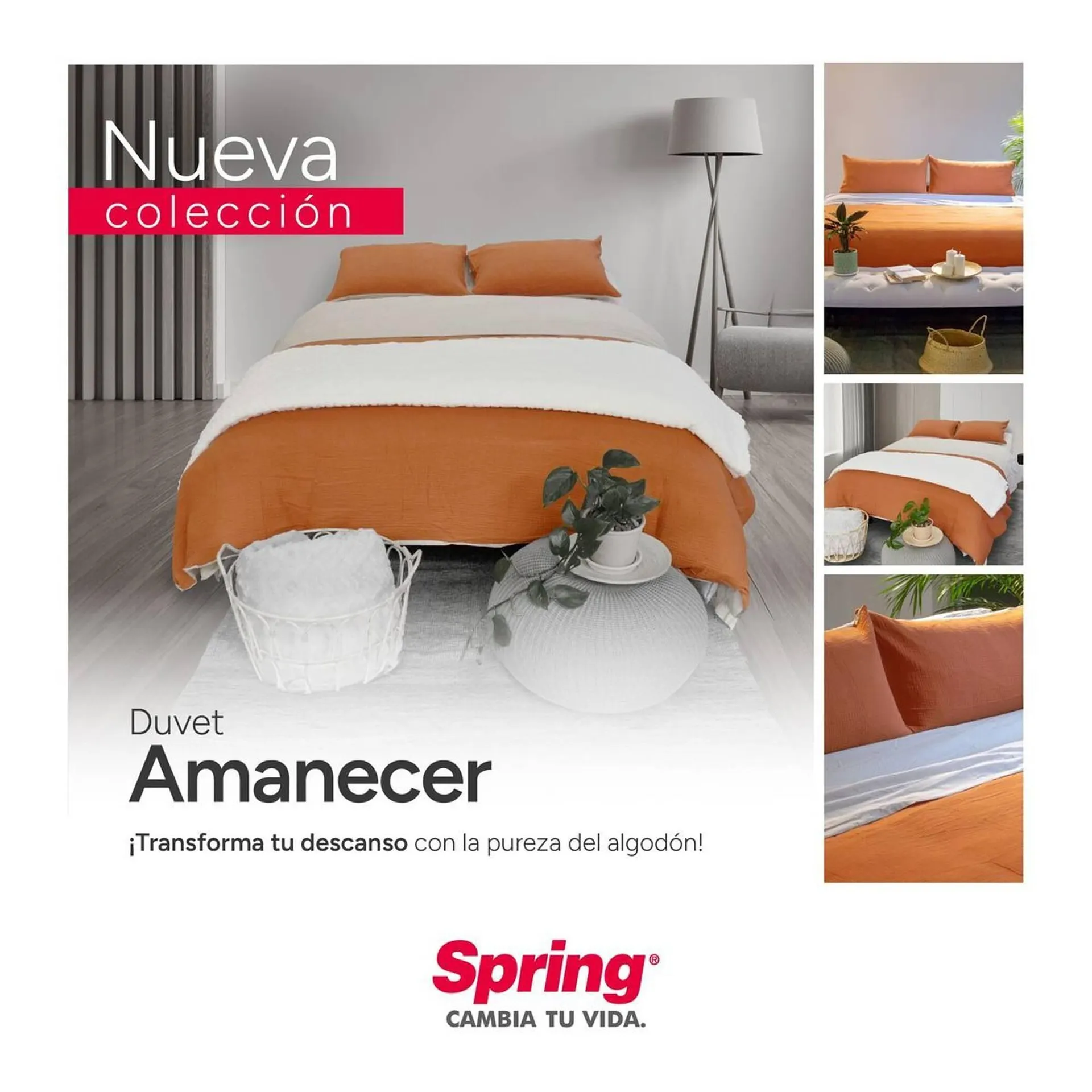 Catalogo de Catálogo Colchones Spring 1 de noviembre al 1 de abril 2025 - Pag 3