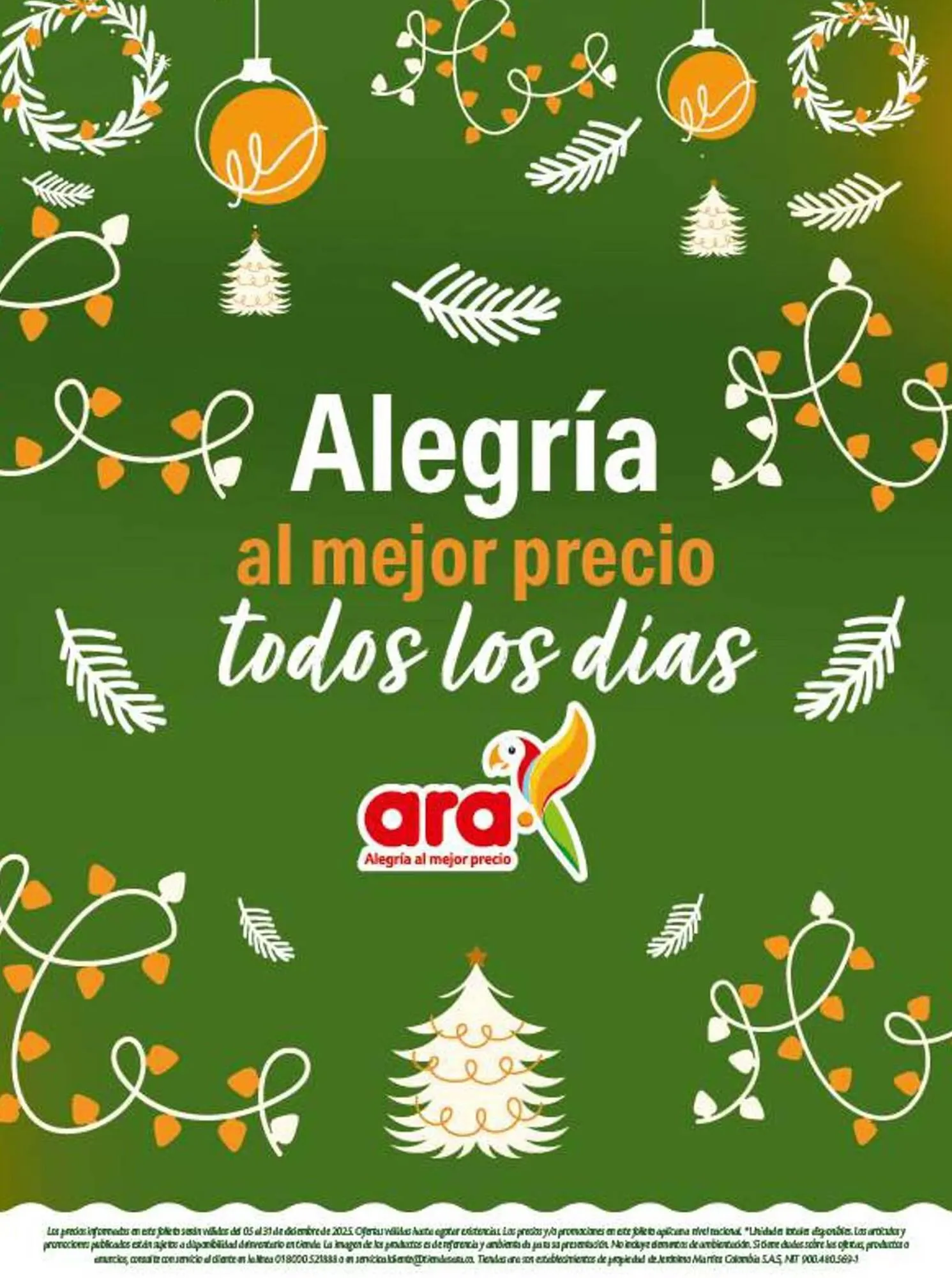 Catalogo de Catálogo Ara 5 de diciembre al 31 de diciembre 2025 - Pag 21