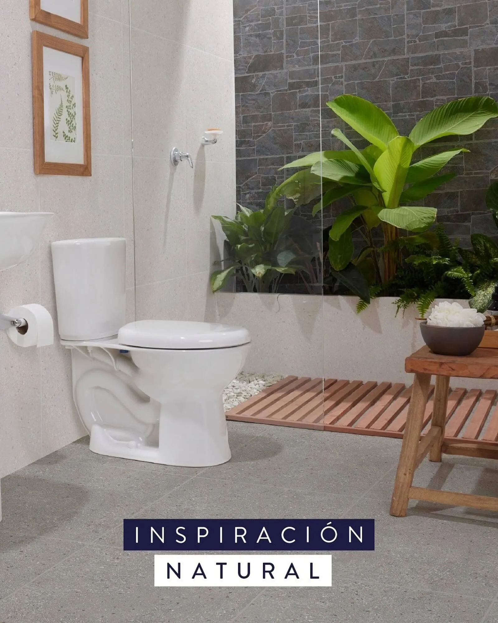 Catalogo de Catálogo Hipercentro Corona 4 de abril al 31 de diciembre 2025 - Pag 5