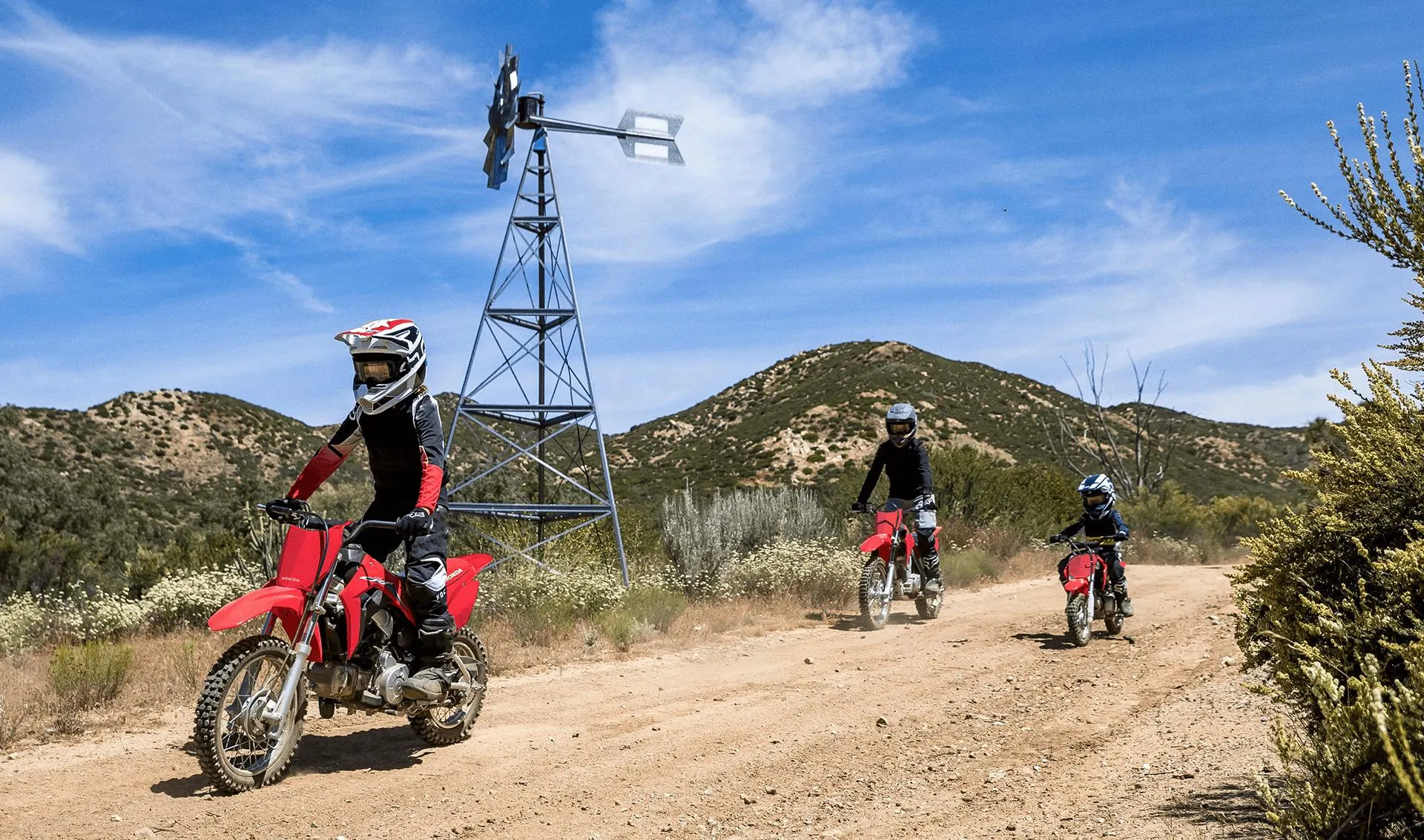 CRF 110F Modelo 2024