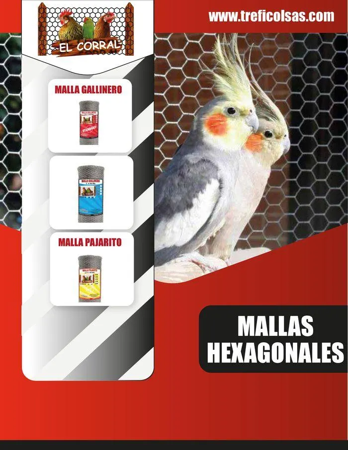 Catalogo de CATÁLOGO DE PRODUCTOS 15 de enero al 31 de diciembre 2024 - Pag 17