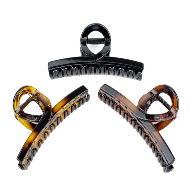 CAIMAN IMI CAREY INFINITO