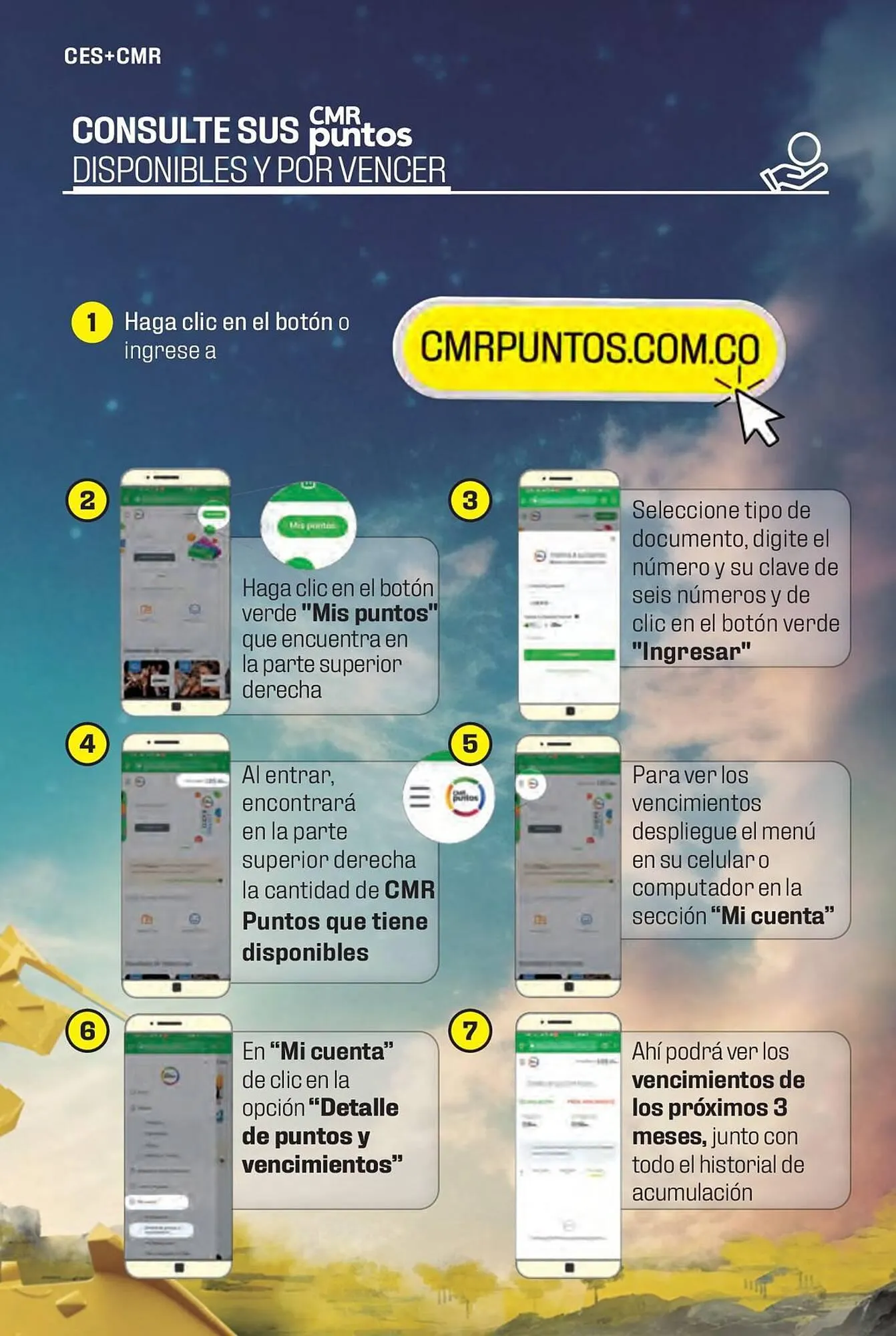 Catalogo de Catálogo Constructor 15 de enero al 31 de marzo 2024 - Pag 67