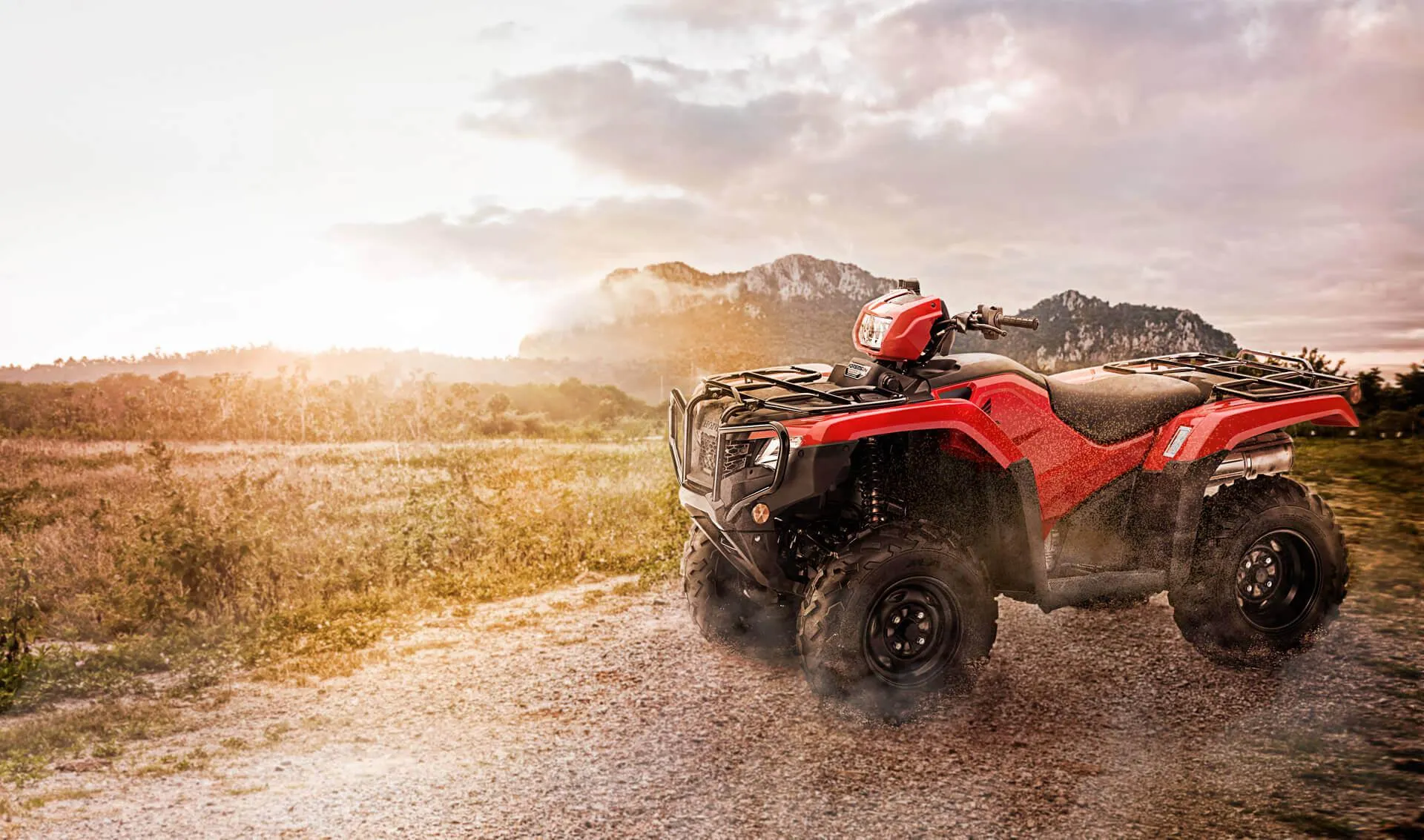 TRX 520 FE2 Dirección Asistida Modelo 2024