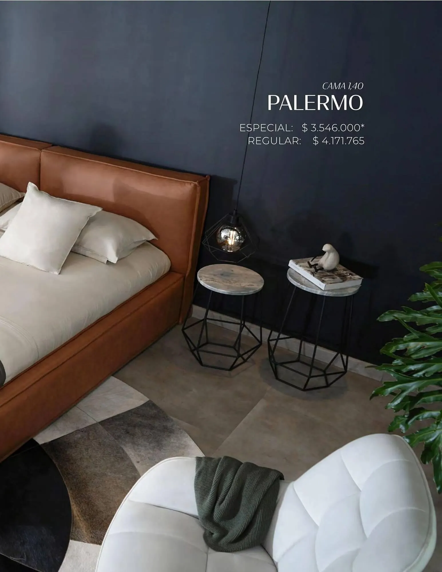 Catalogo de Catálogo Aristas 9 de febrero al 31 de diciembre 2024 - Pag 41