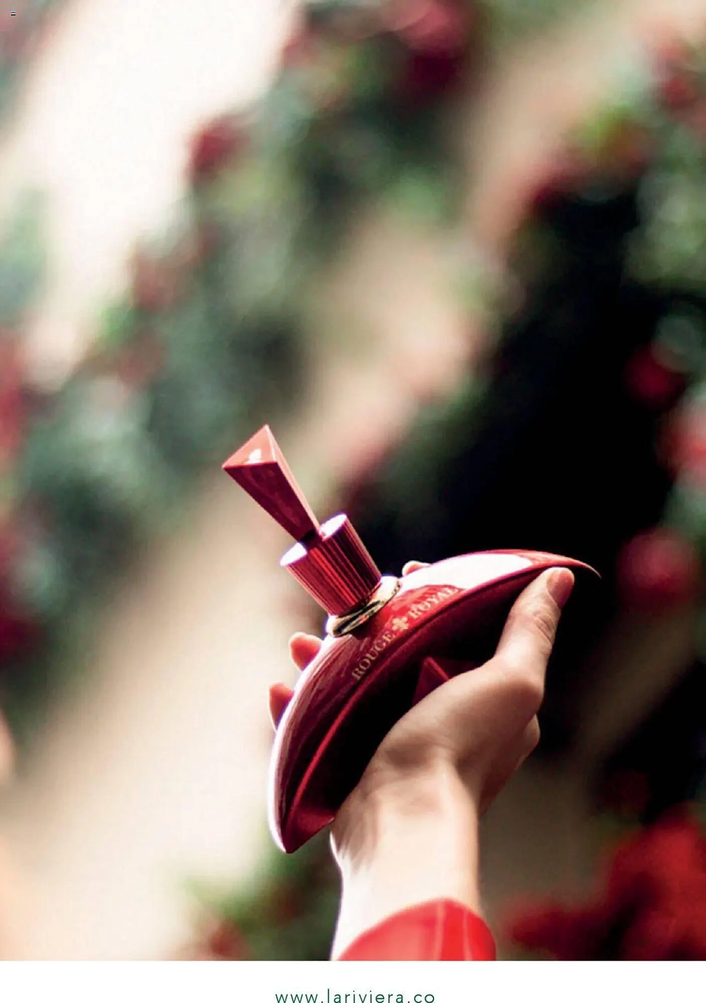 Catalogo de Catálogo La Riviera 20 de septiembre al 31 de octubre 2024 - Pag 3