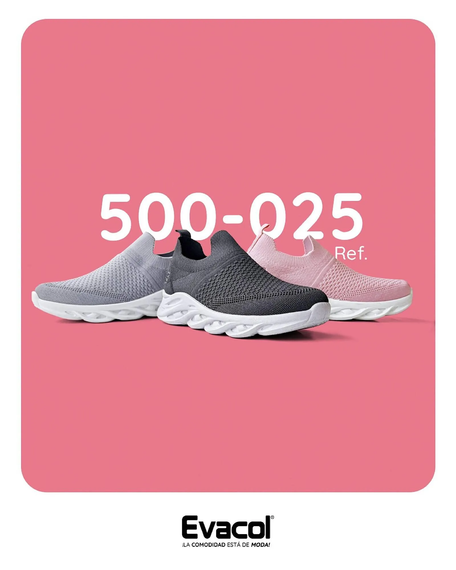 Catalogo de Catálogo Evacol 11 de marzo al 31 de marzo 2025 - Pag 5