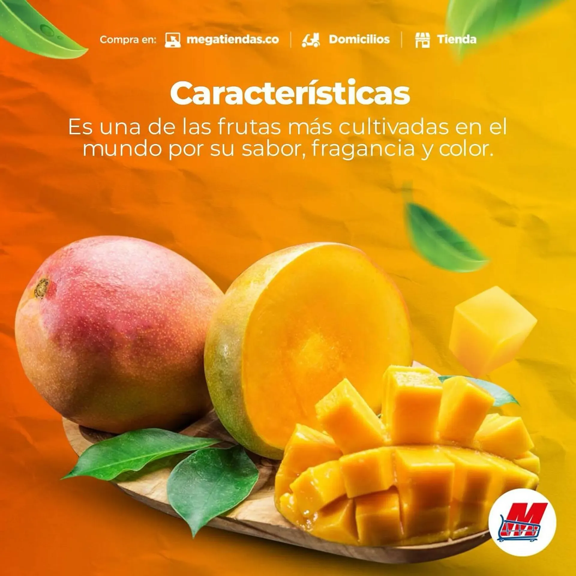 Catalogo de Catálogo MegaTiendas 21 de enero al 25 de enero 2025 - Pag 2