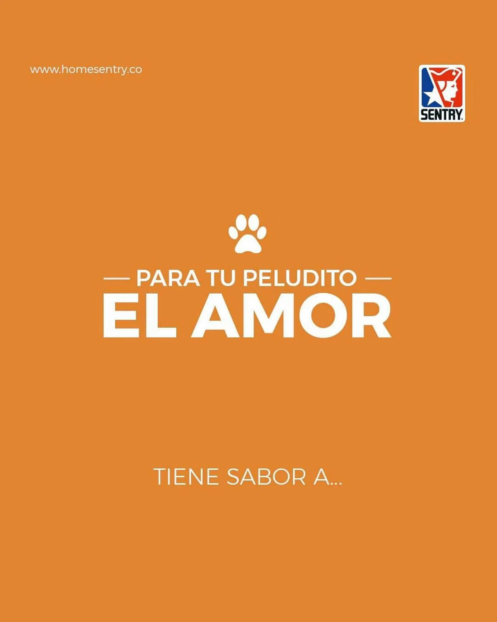 Catalogo de Catálogo Home Sentry 27 de junio al 13 de julio 2023 - Pag 1