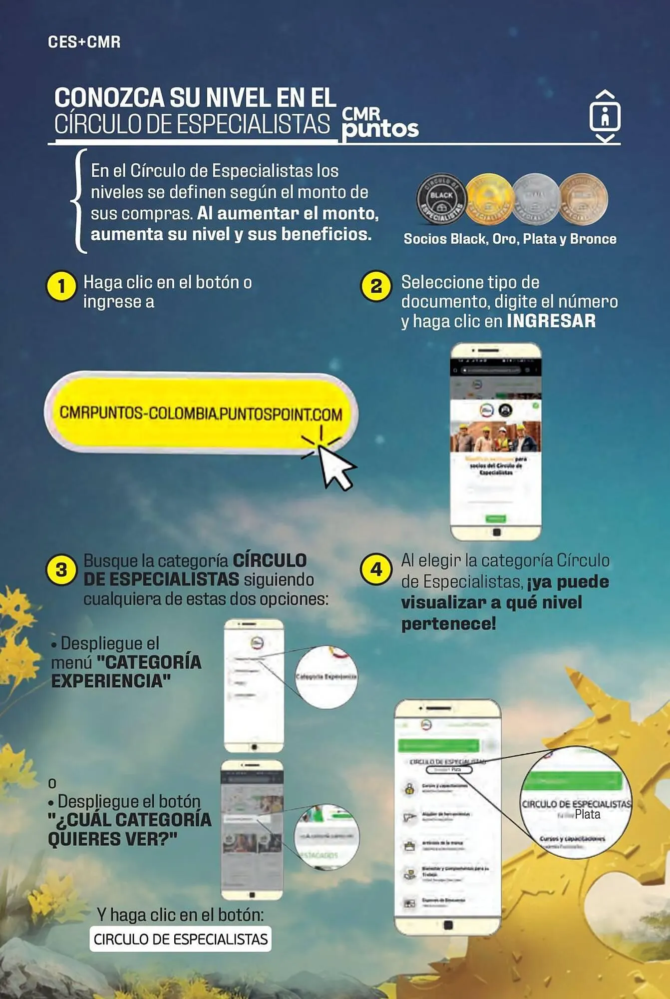 Catalogo de Catálogo Constructor 15 de enero al 31 de marzo 2024 - Pag 66