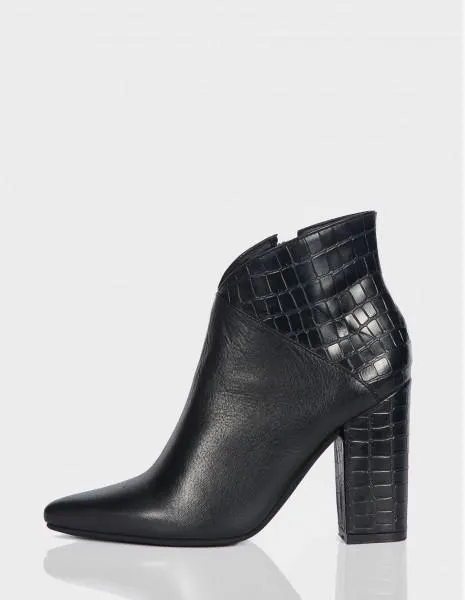 MOLDOVA NAPA X TORTUGA NEGRO