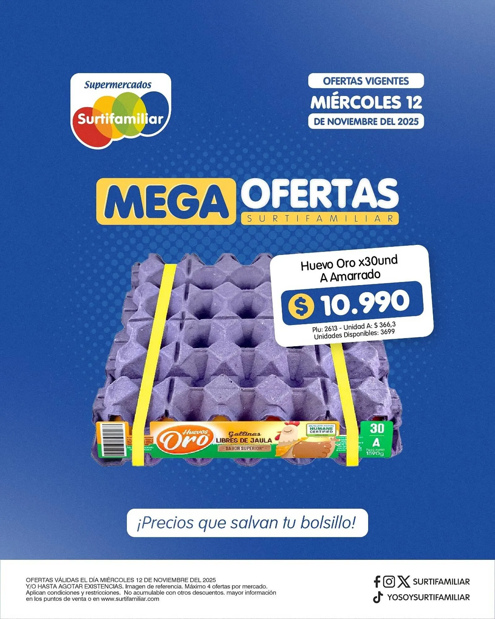 Catalogo de Catálogo Surtifamiliar 12 de noviembre al 12 de noviembre 2025 - Pag 2