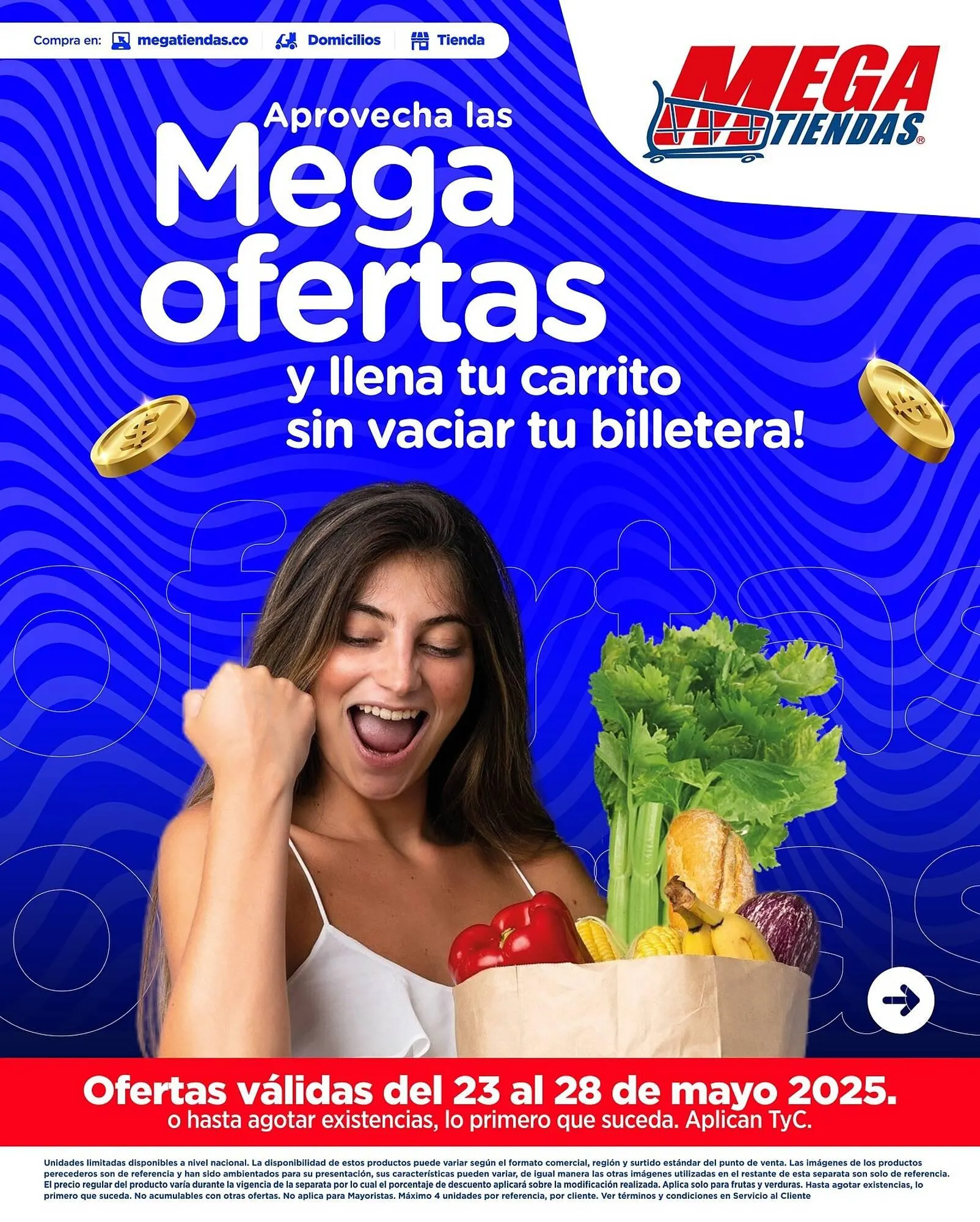 Catálogo MegaTiendas - 1