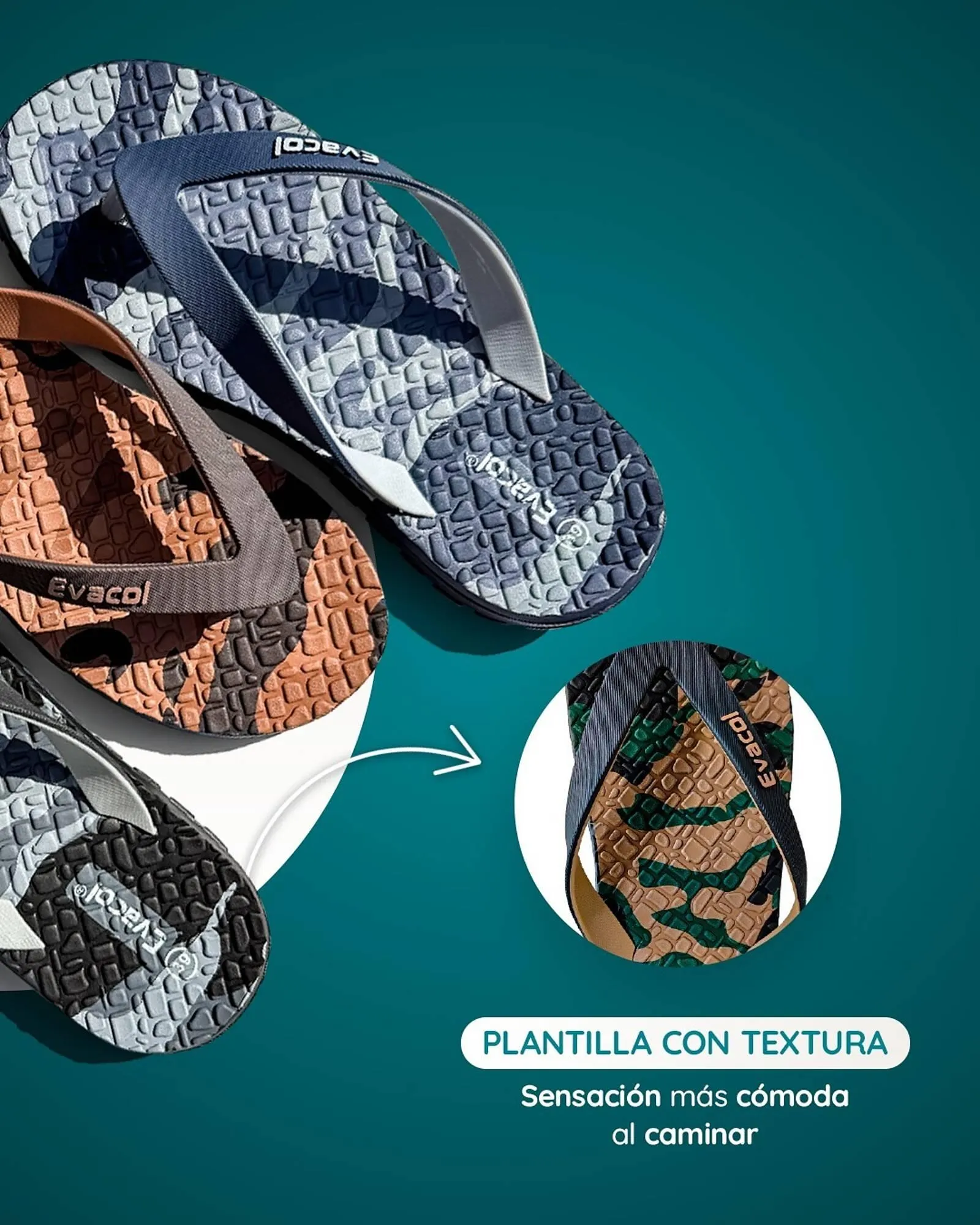 Catalogo de Catálogo Evacol 11 de enero al 17 de enero 2026 - Pag 3