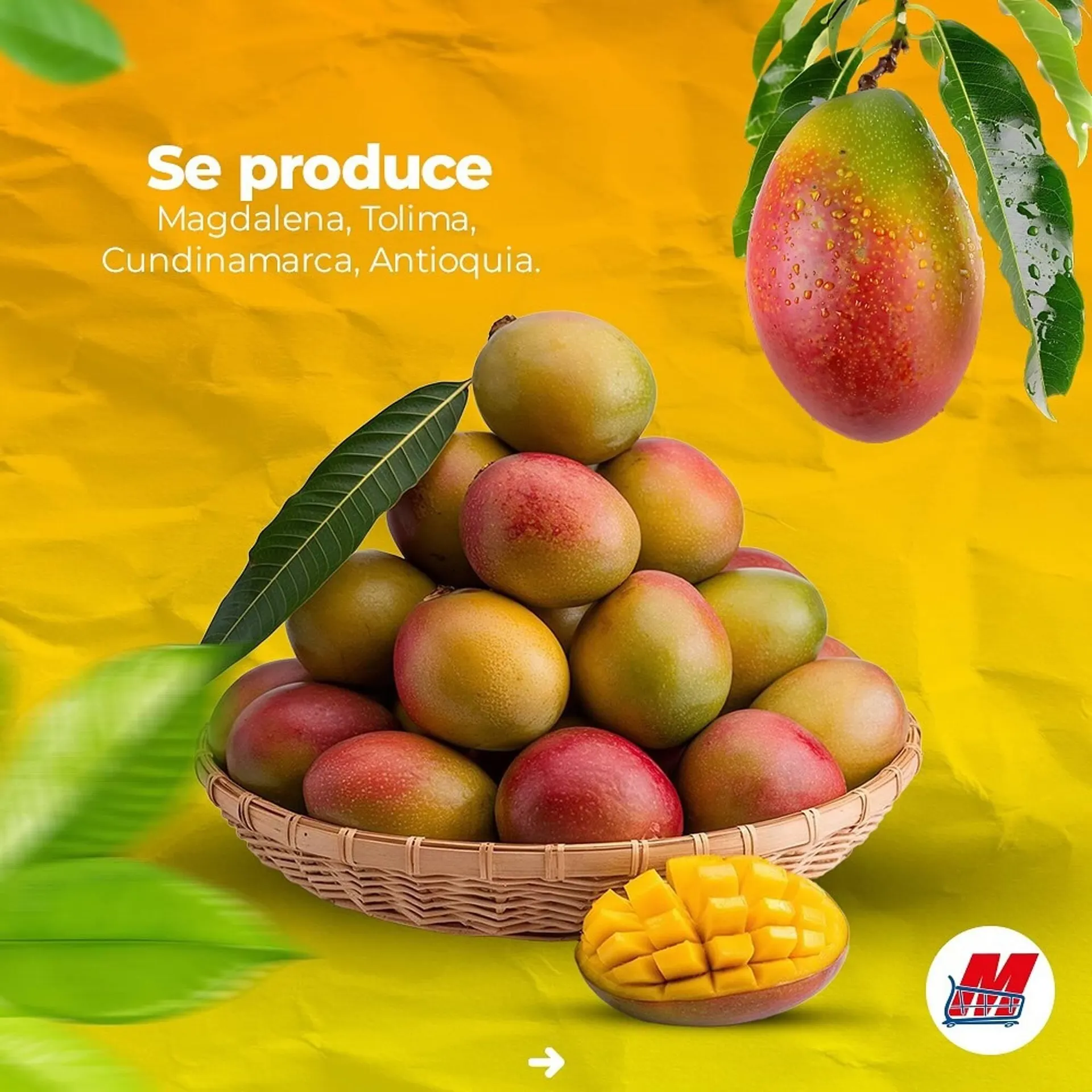 Catalogo de Catálogo MegaTiendas 12 de diciembre al 13 de diciembre 2024 - Pag 3