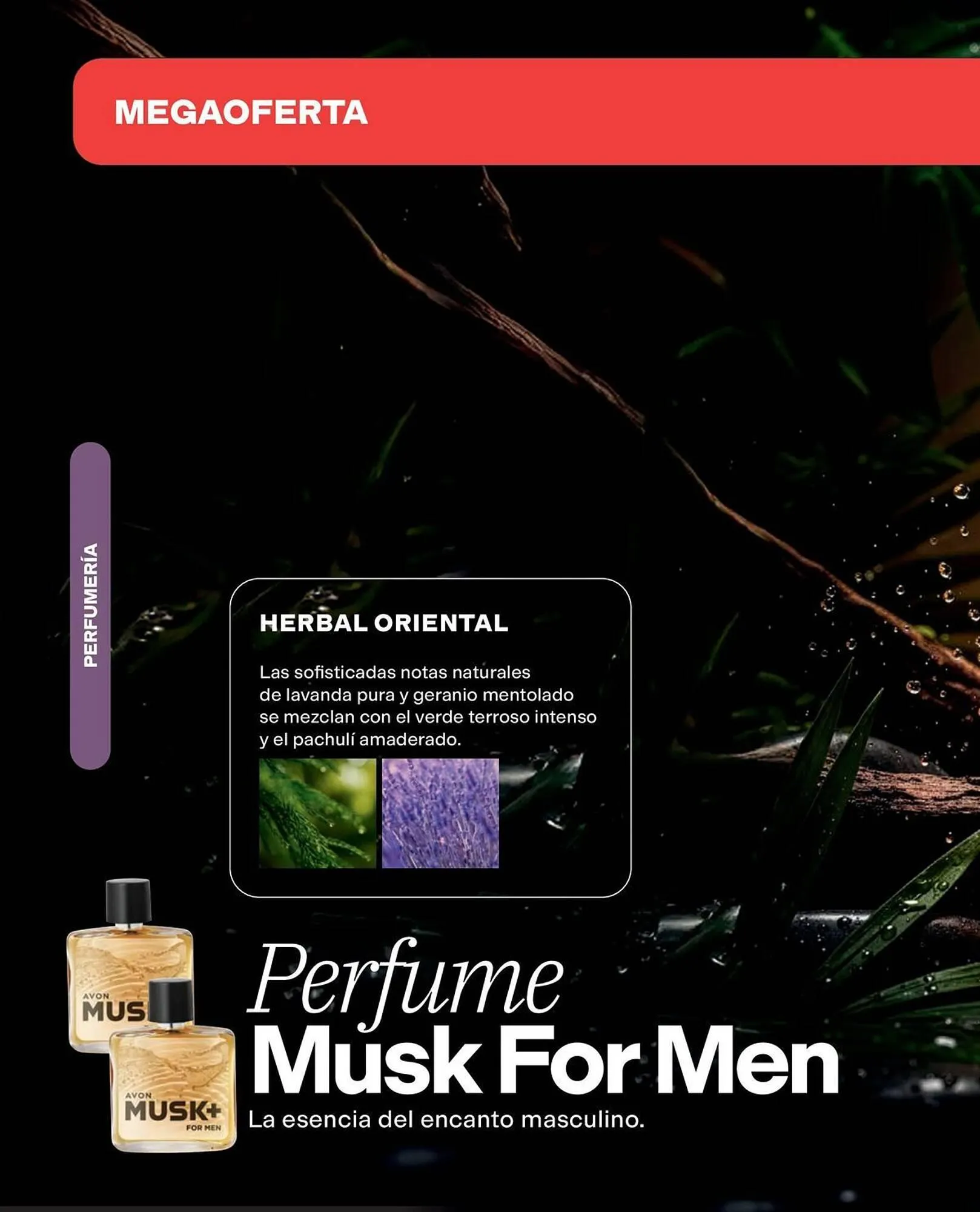 Catalogo de Catálogo Avon 1 de junio al 30 de junio 2026 - Pag 86