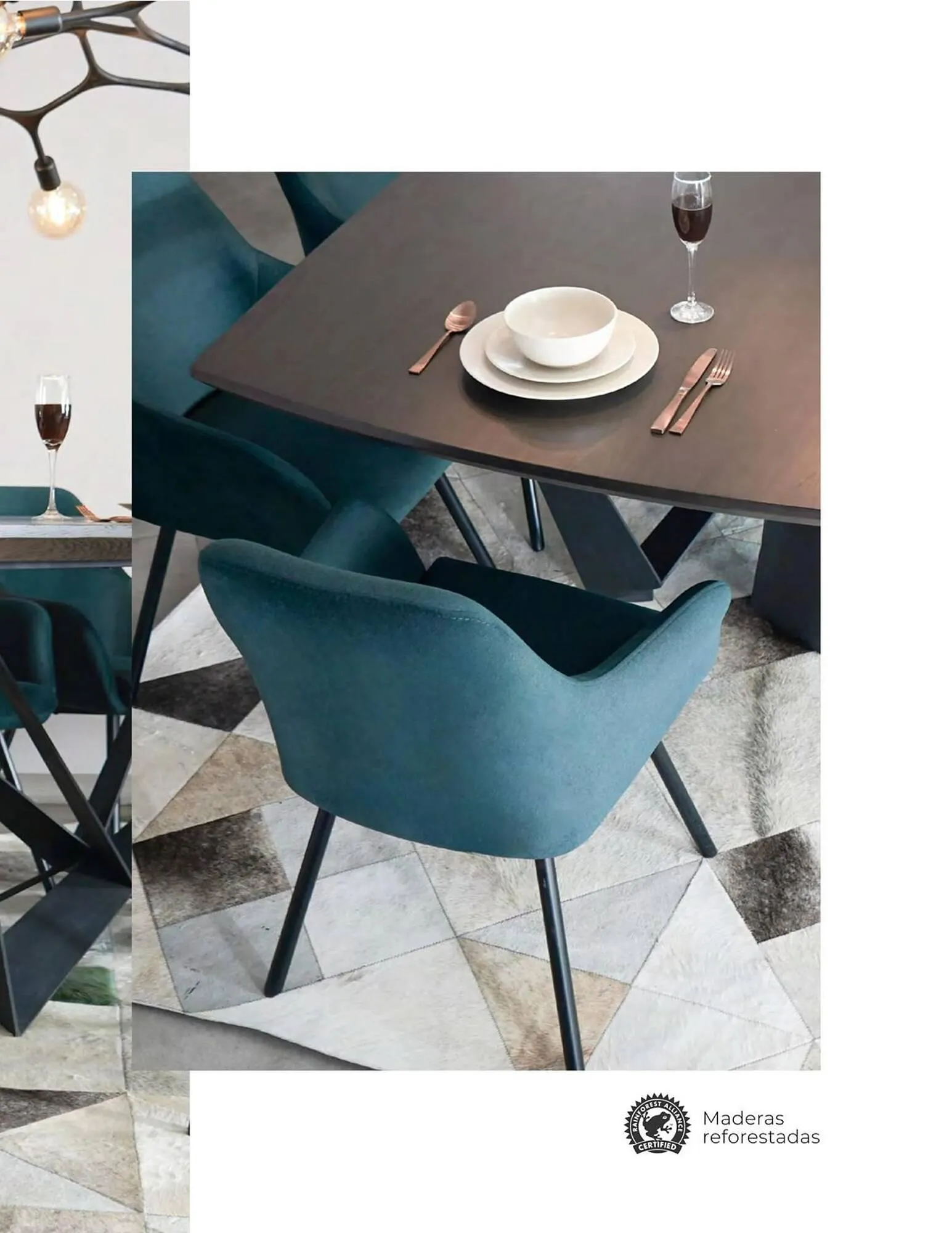 Catalogo de Catálogo Aristas 9 de febrero al 31 de diciembre 2024 - Pag 39