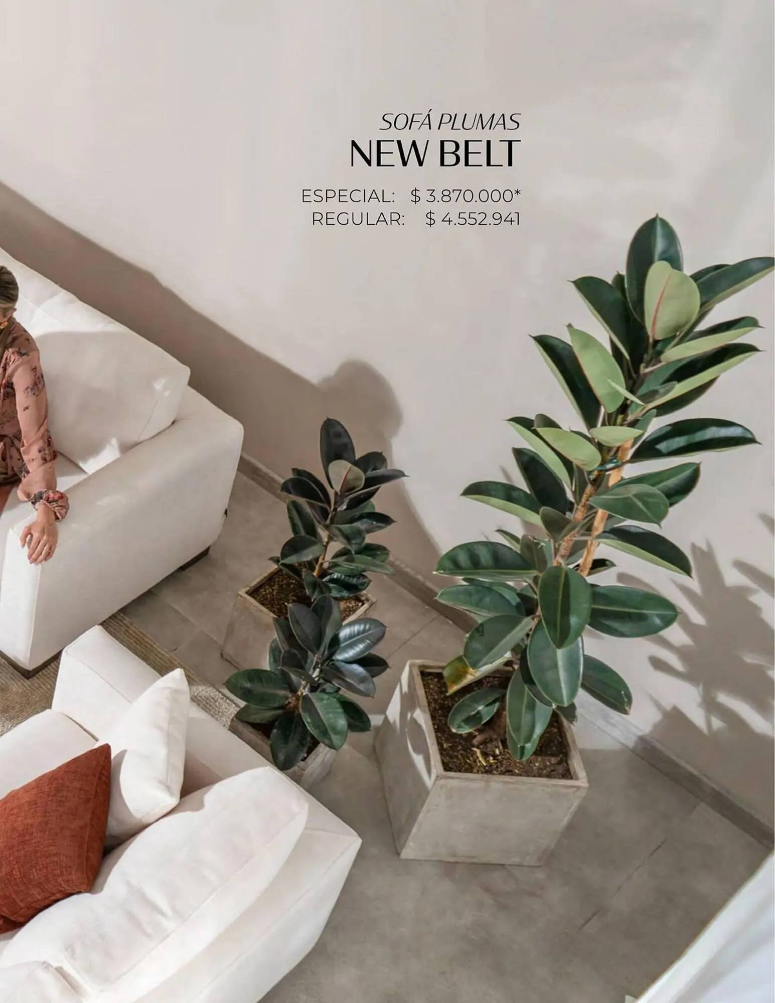 Catalogo de Catálogo Aristas 9 de febrero al 31 de diciembre 2024 - Pag 51