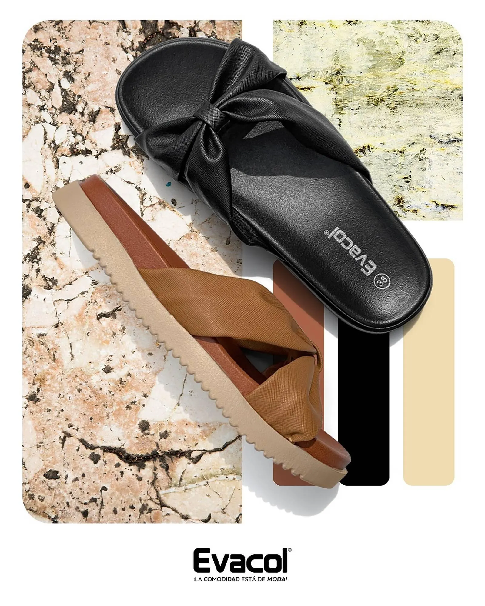 Catalogo de Catálogo Evacol 23 de enero al 28 de febrero 2025 - Pag 2