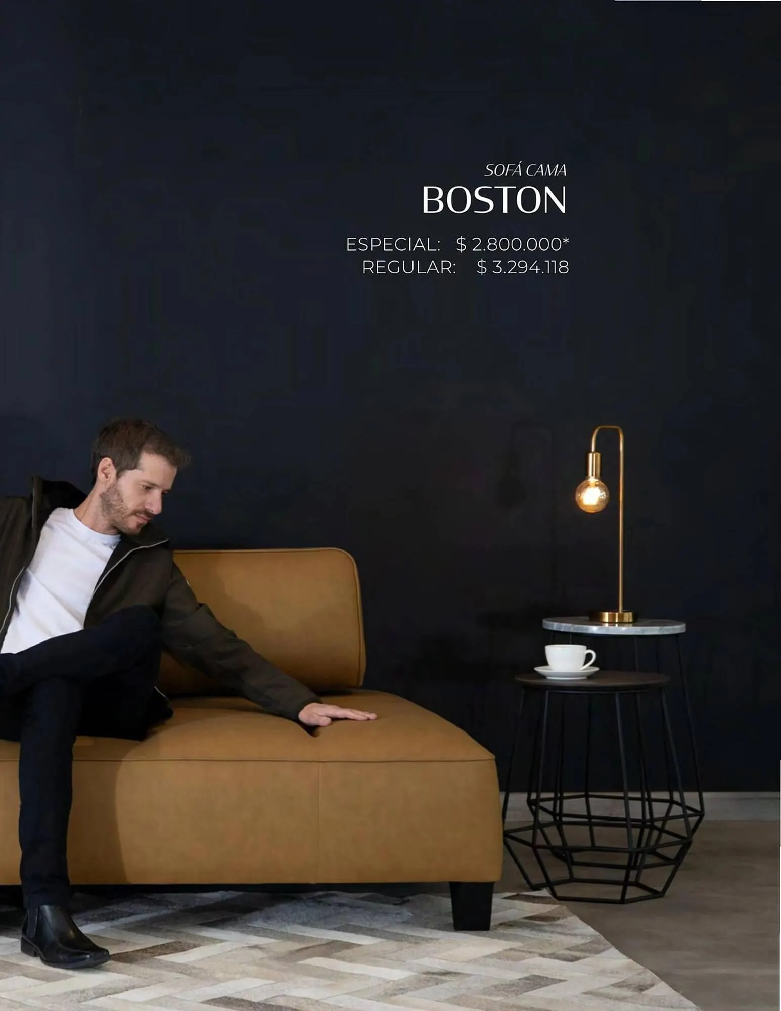 Catalogo de Catálogo Aristas 9 de febrero al 31 de diciembre 2024 - Pag 33