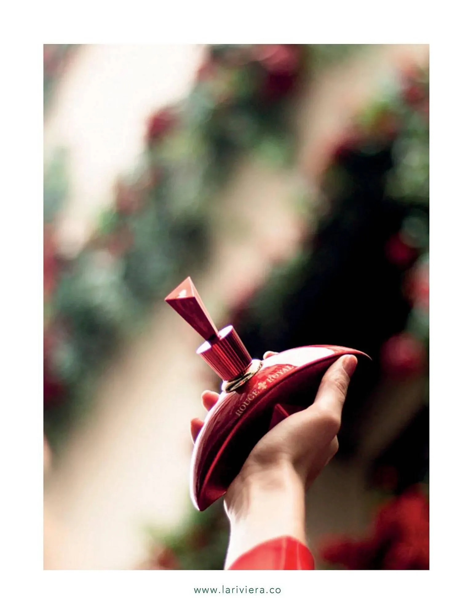 Catalogo de Catálogo La Riviera 25 de marzo al 30 de abril 2025 - Pag 3