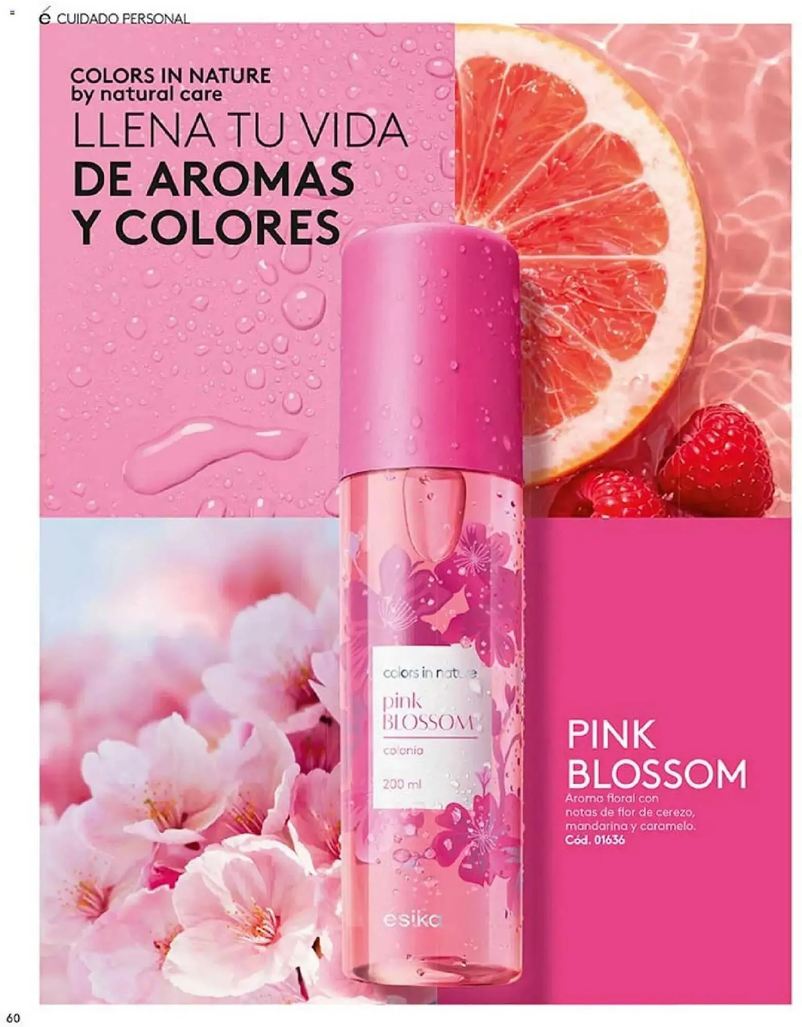 Catalogo de Catálogo Ésika 4 de mayo al 5 de junio 2026 - Pag 62
