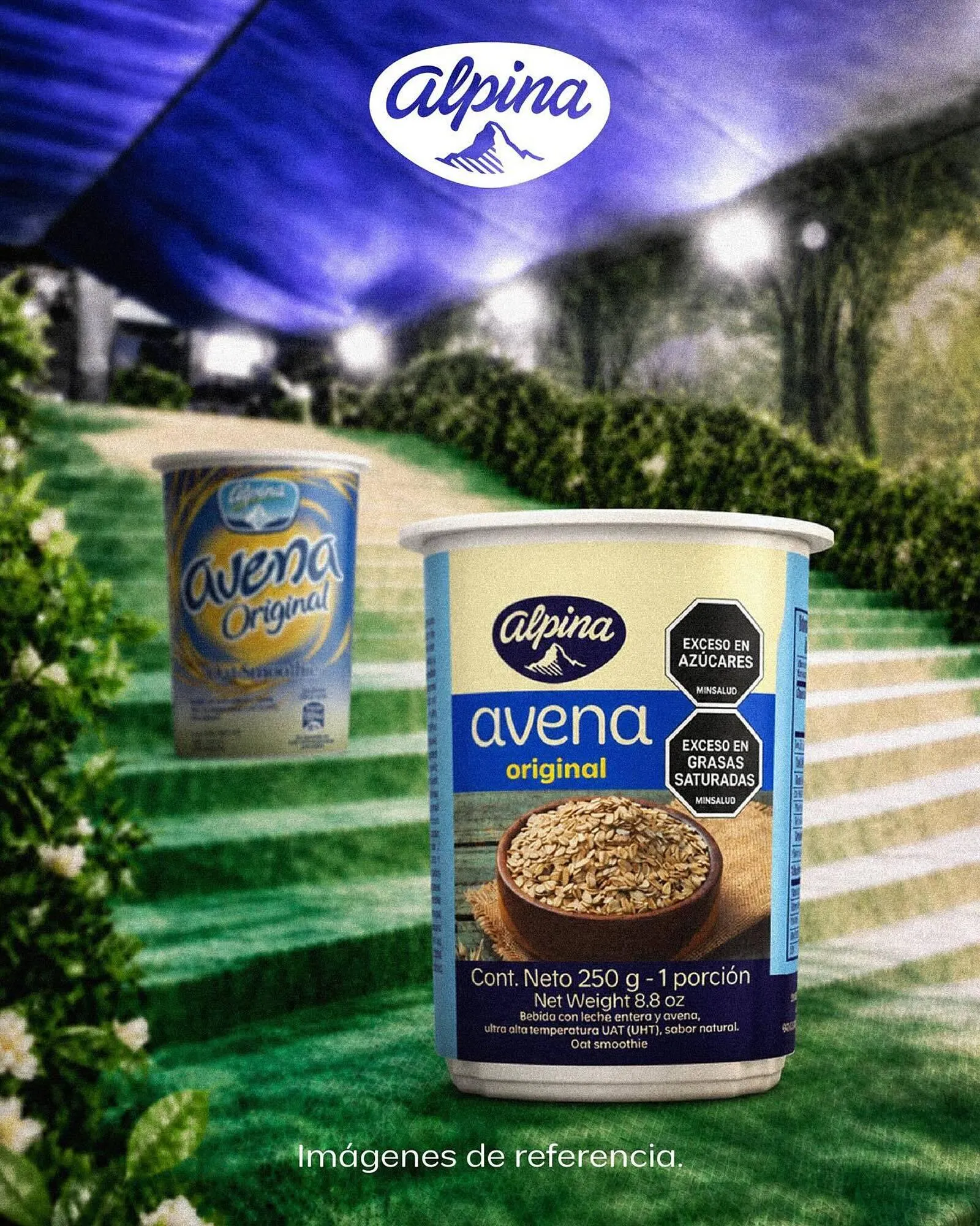 Catalogo de Catálogo Alpina 6 de mayo al 19 de mayo 2026 - Pag 6