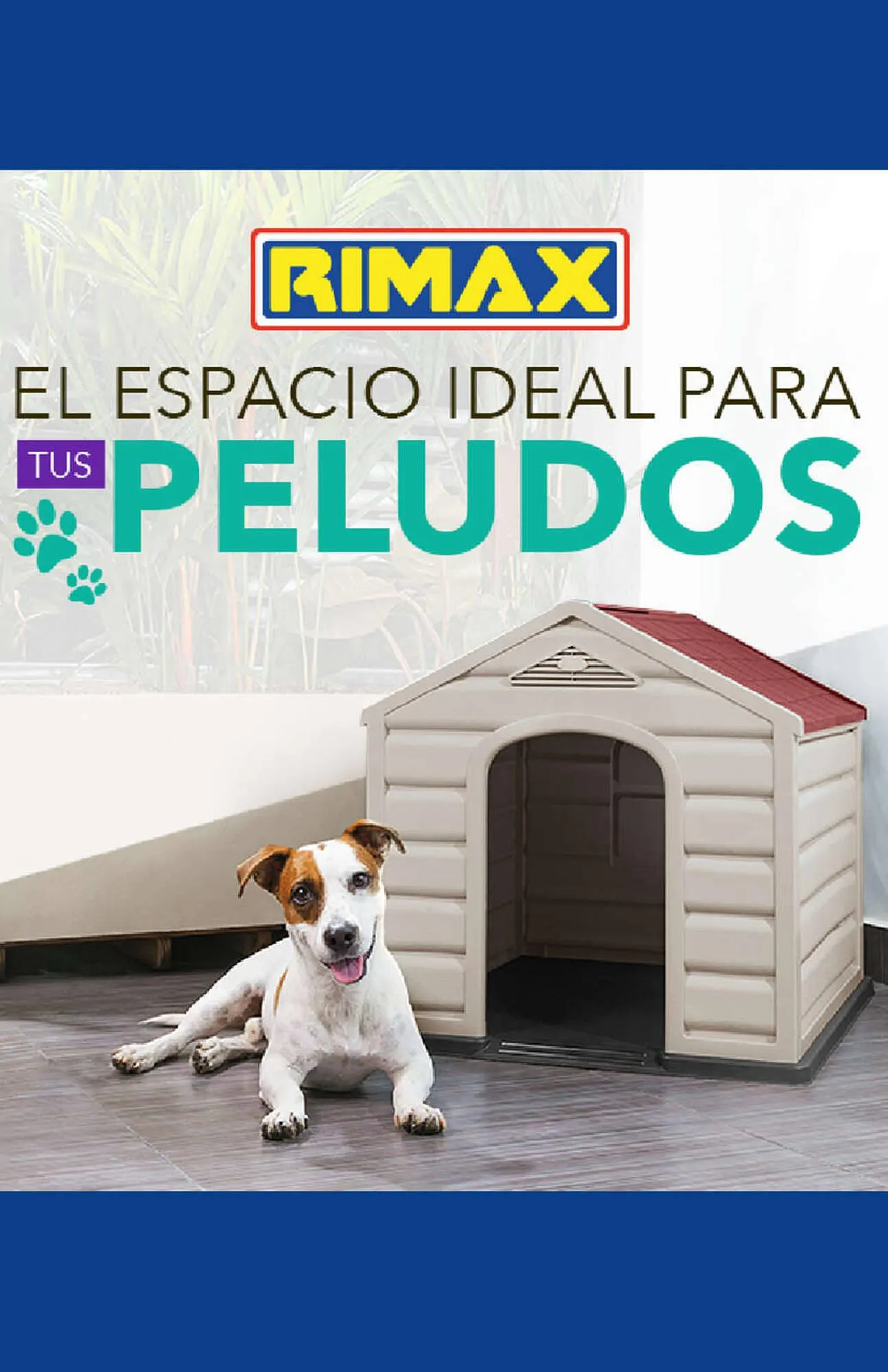 Catalogo de Catálogo Rimax 15 de noviembre al 15 de diciembre 2023 - Pag 3