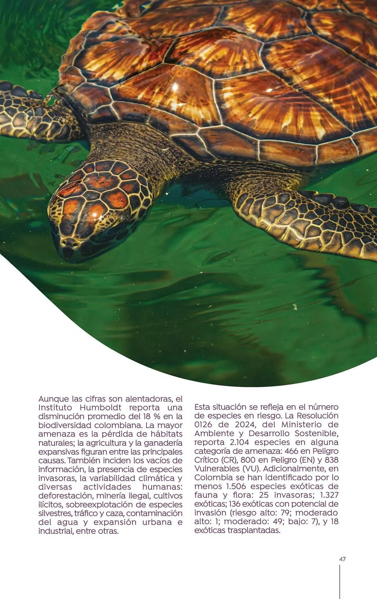 Catalogo de Catálogo Droguerías Colsubsidio 15 de octubre al 31 de octubre 2025 - Pag 47