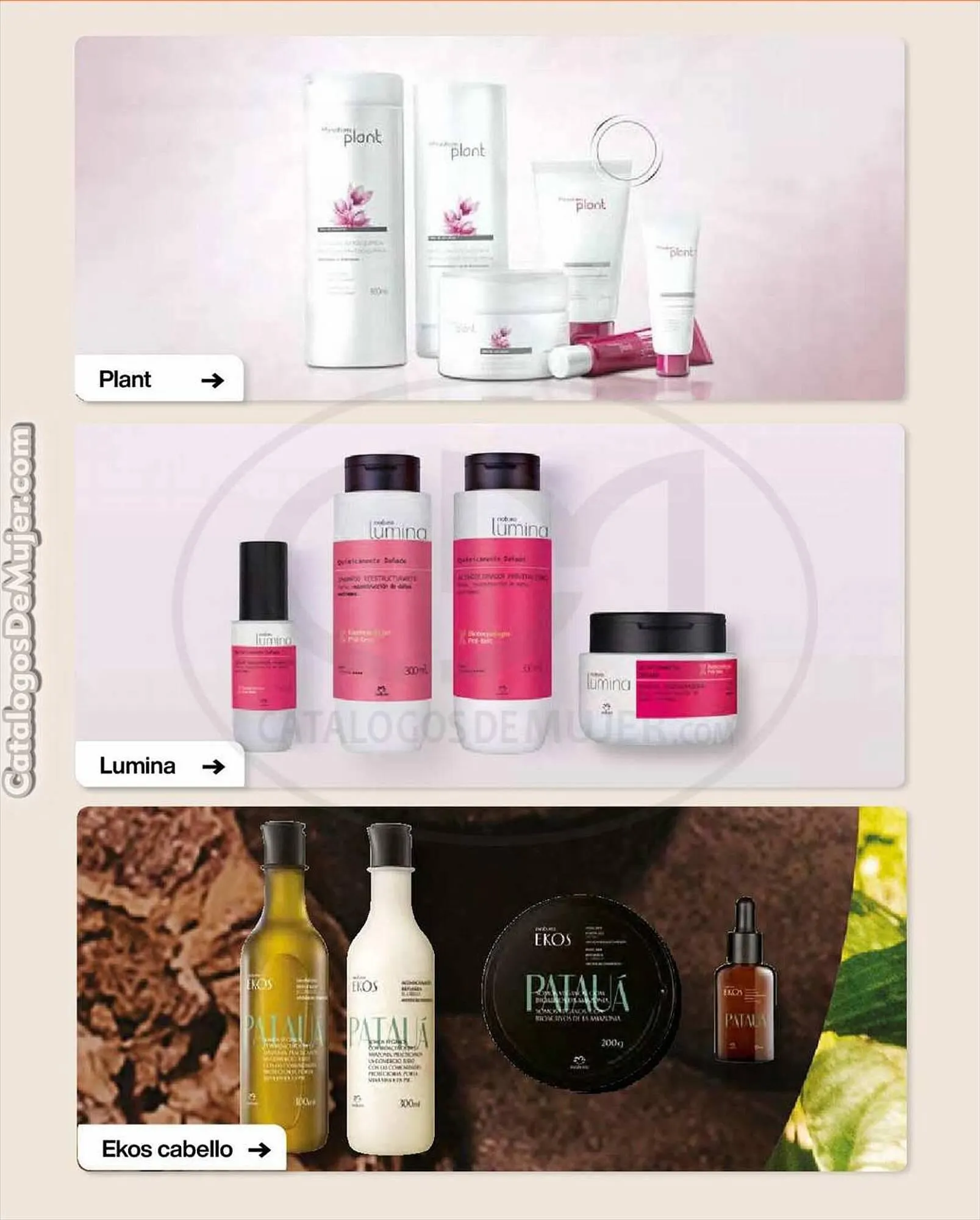 Catalogo de Catálogo Natura 29 de julio al 1 de agosto 2023 - Pag 130