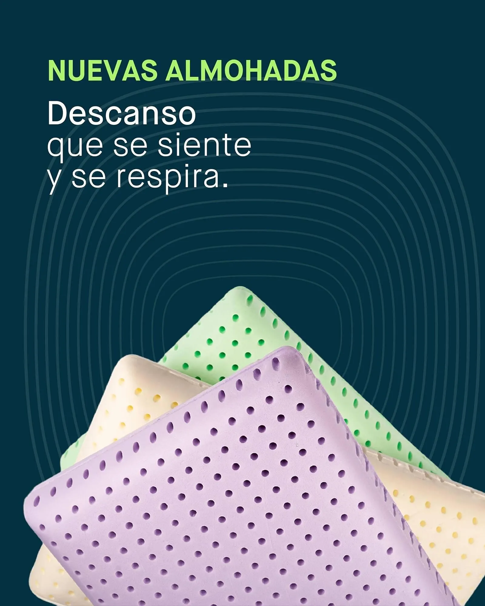 Catalogo de Catálogo Muebles Jamar 16 de enero al 20 de enero 2026 - Pag 2