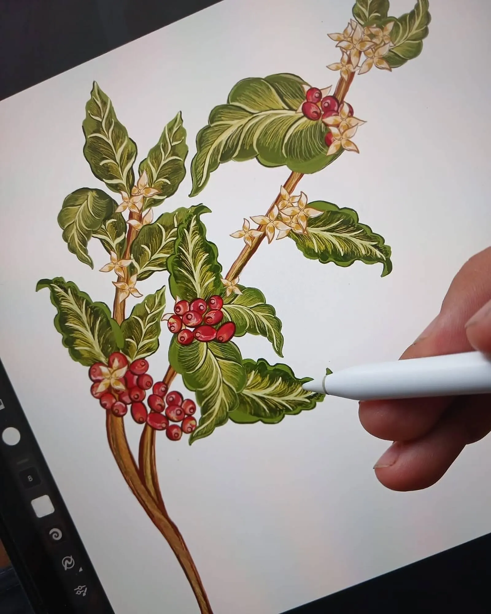 Catalogo de Catálogo HOSSH 28 de junio al 28 de junio 2025 - Pag 3