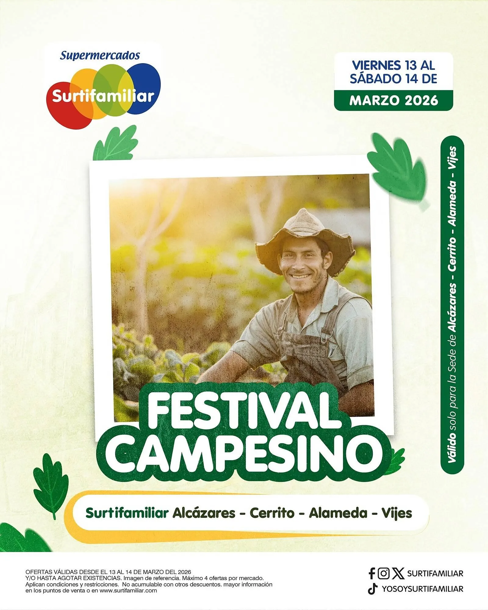 Catálogo Surtifamiliar - 1