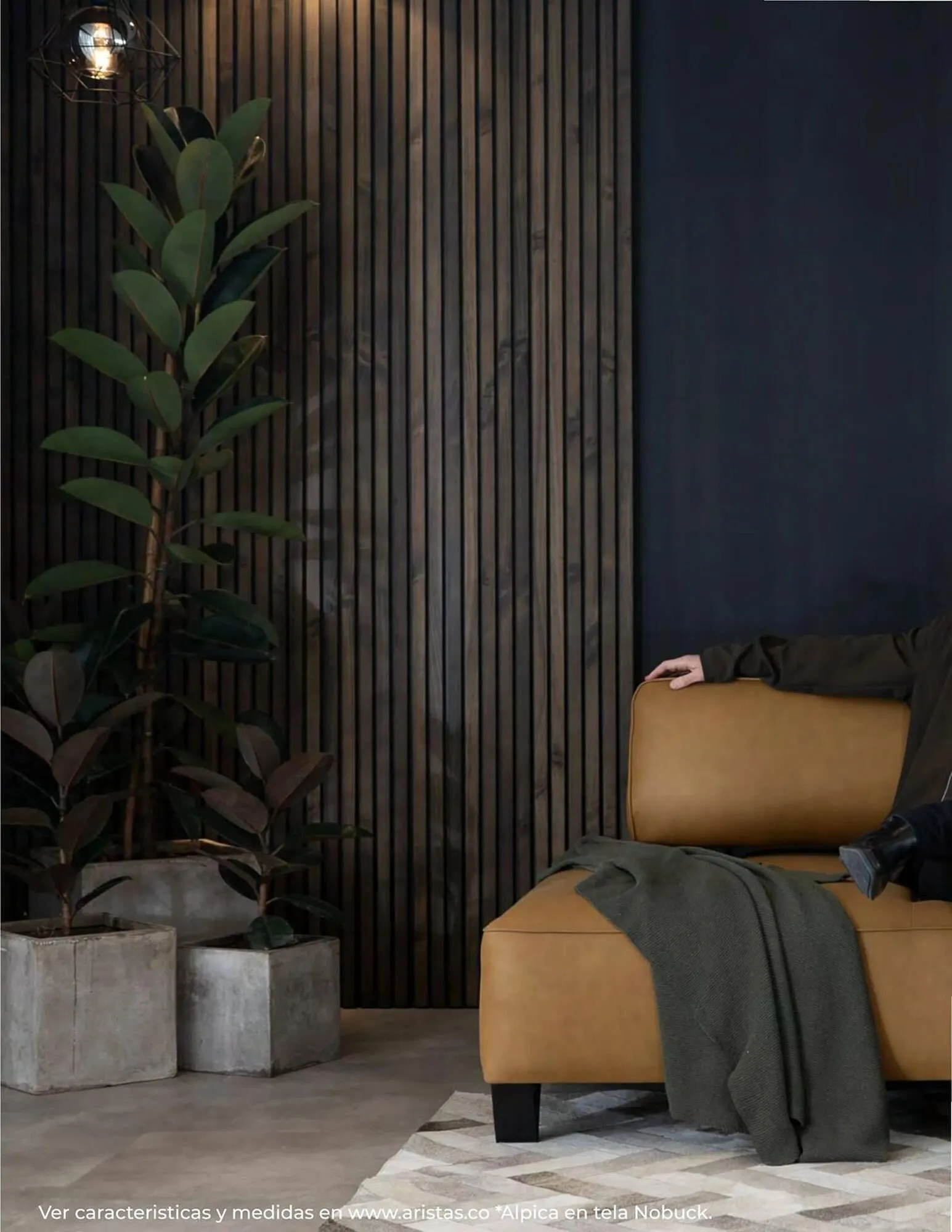 Catalogo de Catálogo Aristas 9 de febrero al 31 de diciembre 2024 - Pag 32