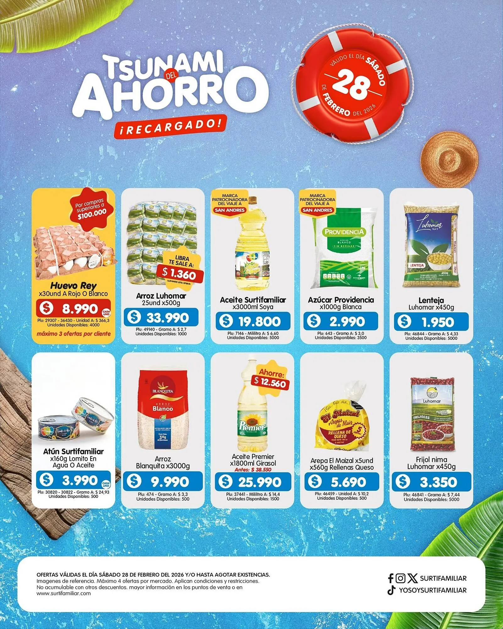 Catalogo de Catálogo Surtifamiliar 28 de febrero al 28 de febrero 2026 - Pag 2