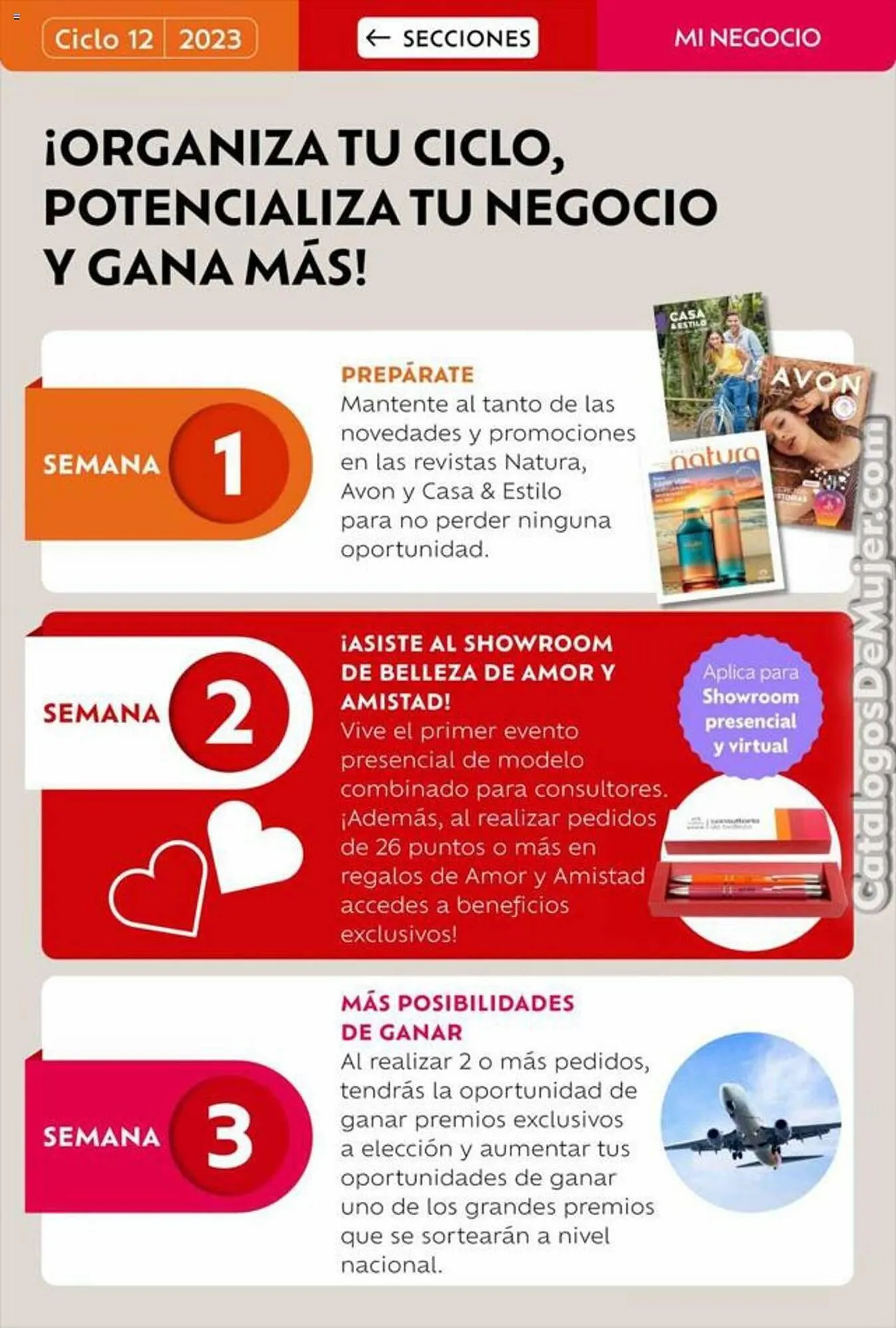 Catalogo de Catálogo Natura 22 de julio al 15 de agosto 2023 - Pag 18