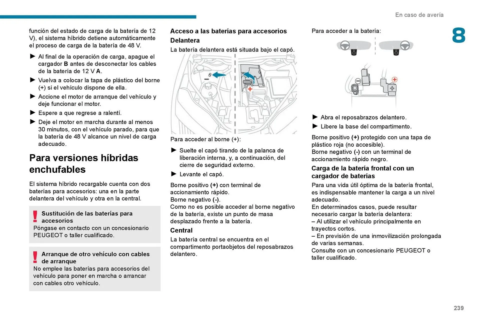 Catalogo de Catálogo Peugeot 7 de septiembre al 7 de septiembre 2026 - Pag 241
