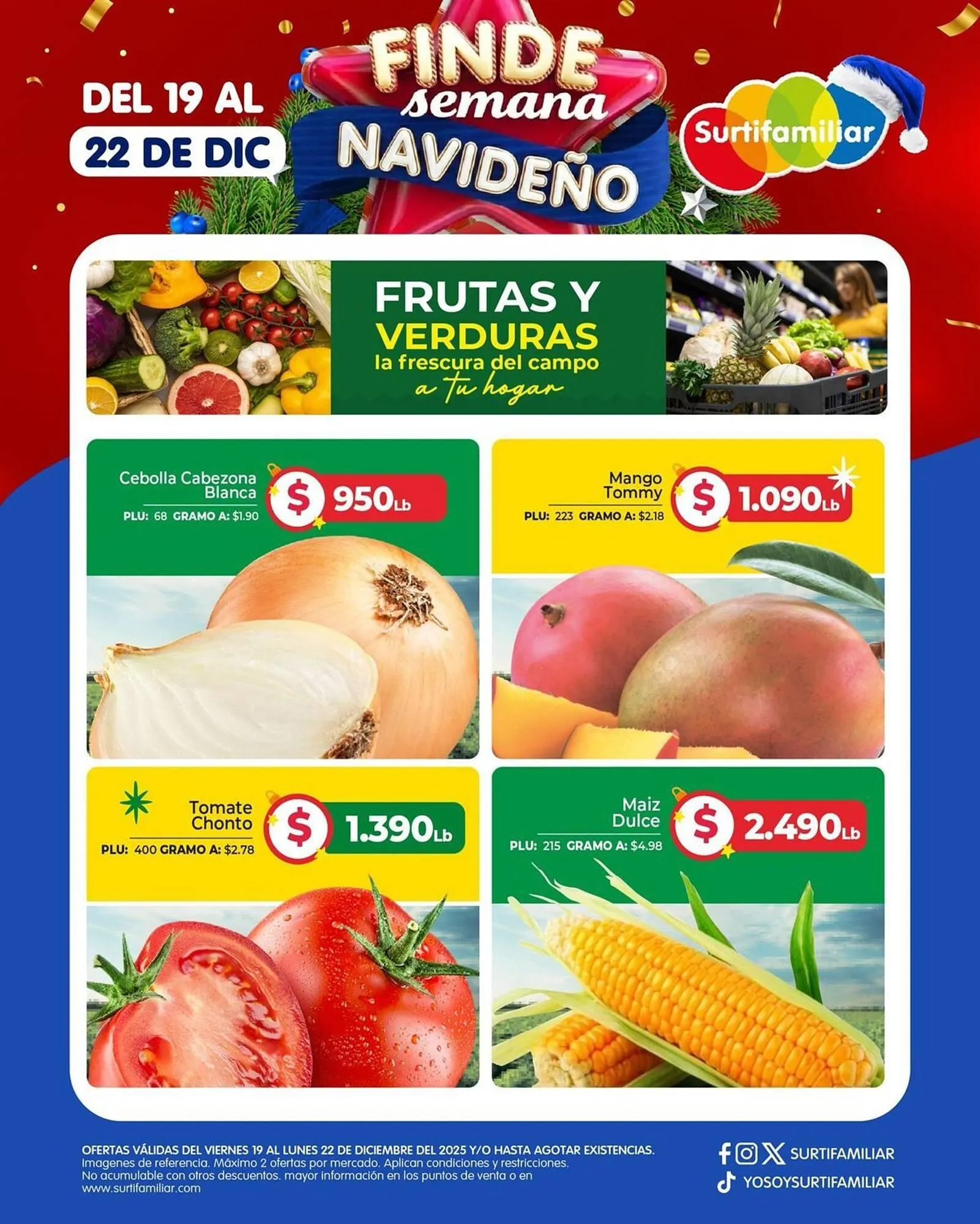 Catalogo de Catálogo Surtifamiliar 19 de diciembre al 22 de diciembre 2025 - Pag 1