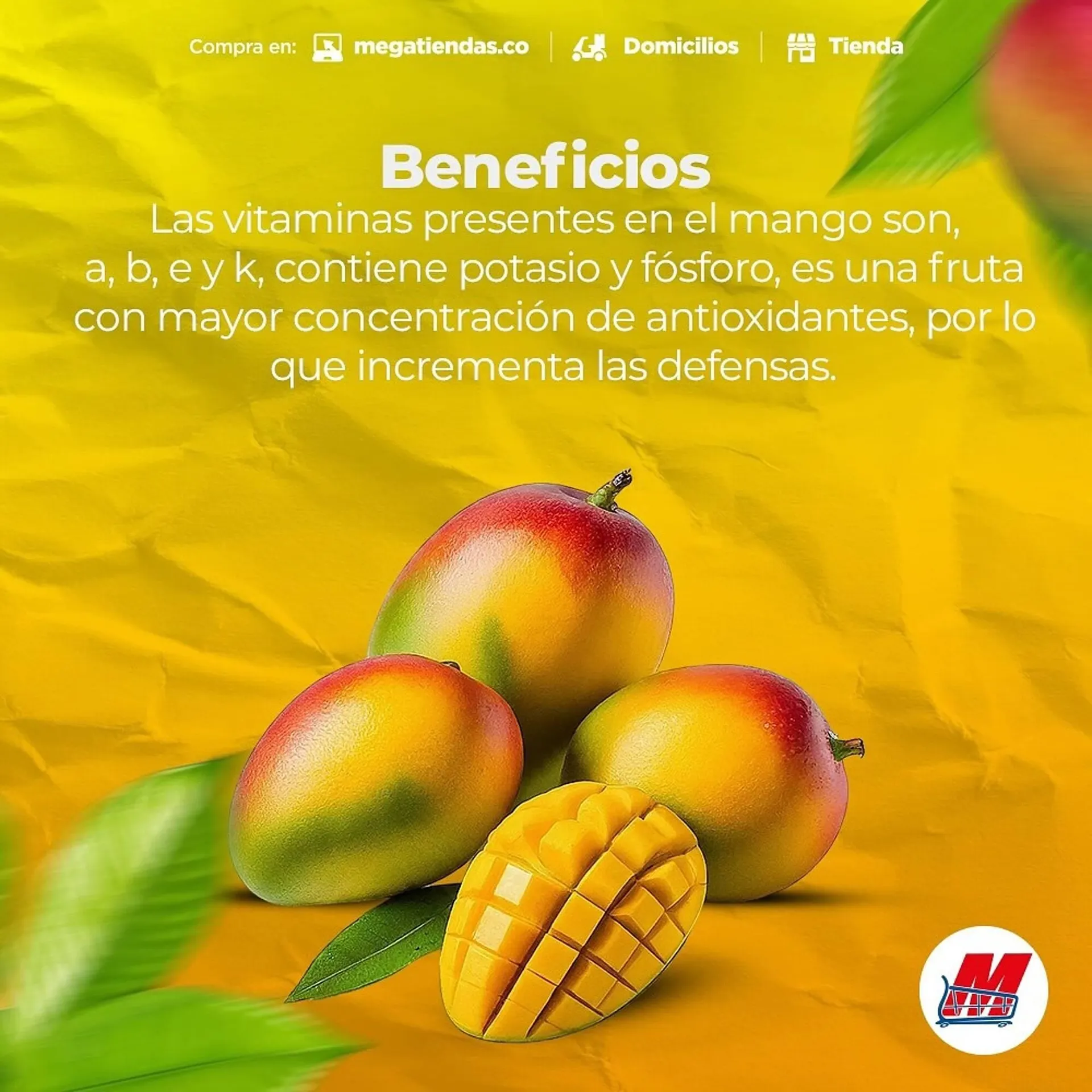 Catalogo de Catálogo MegaTiendas 12 de diciembre al 13 de diciembre 2024 - Pag 5