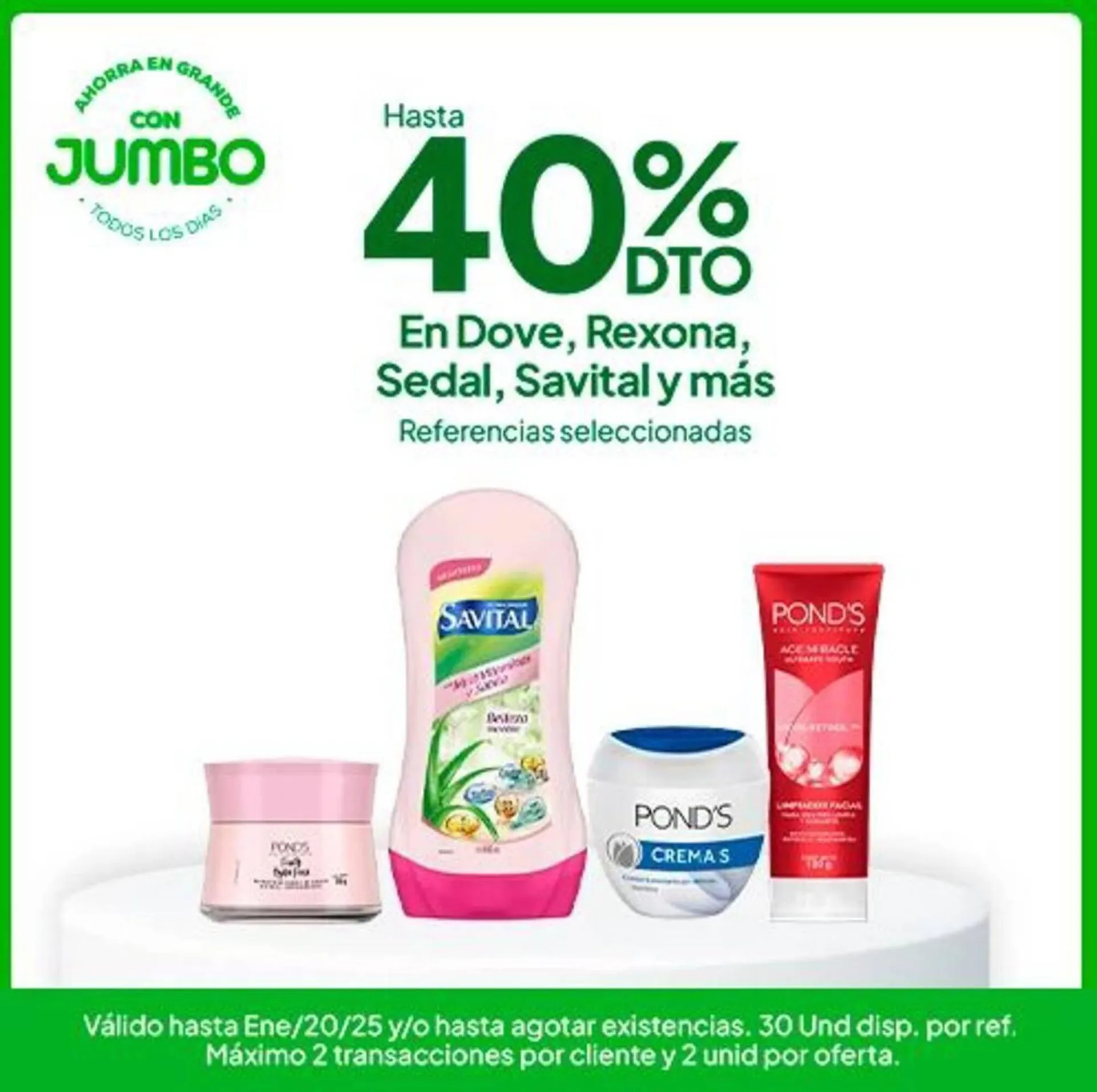 Catalogo de Catálogo Jumbo 13 de enero al 6 de febrero 2025 - Pag 1