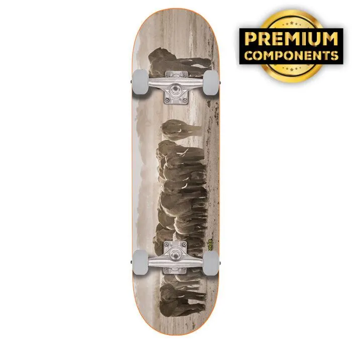 Tabla Completa Animal Familia MONOPATIN