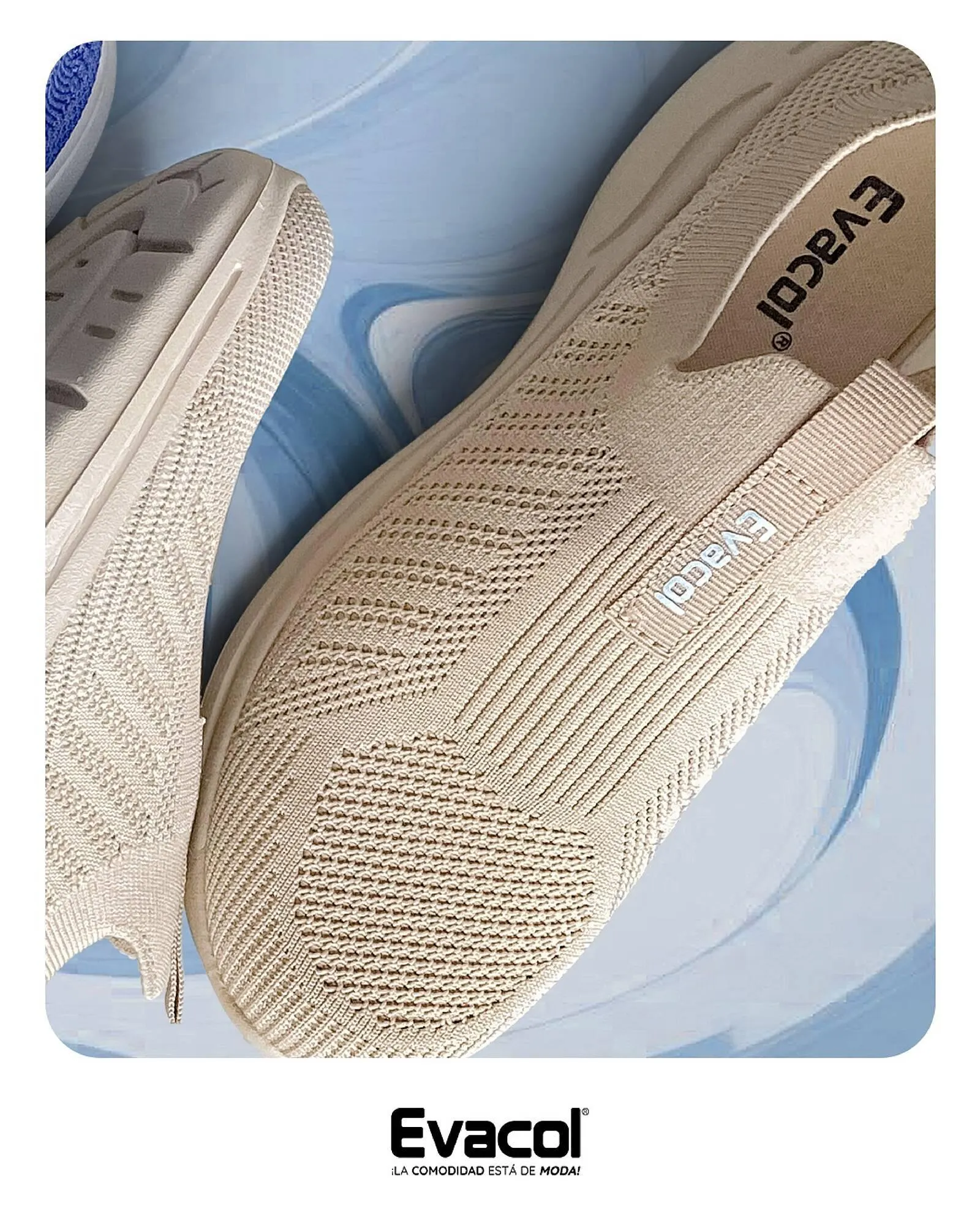 Catalogo de Catálogo Evacol 31 de enero al 28 de febrero 2025 - Pag 1