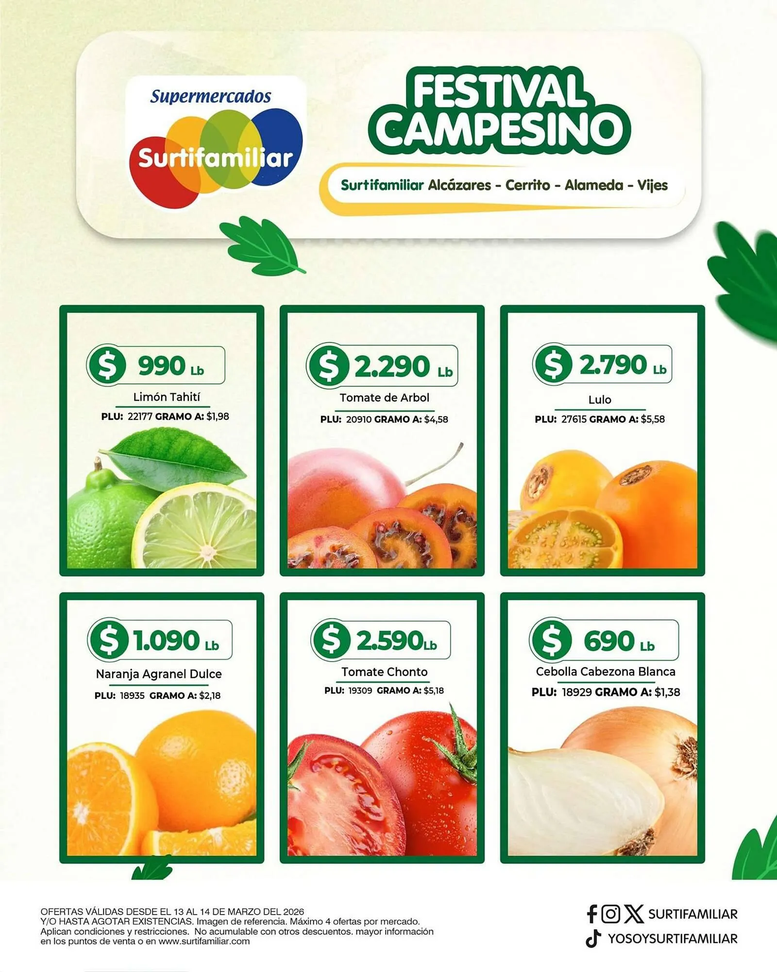 Catalogo de Catálogo Surtifamiliar 13 de marzo al 14 de marzo 2026 - Pag 2