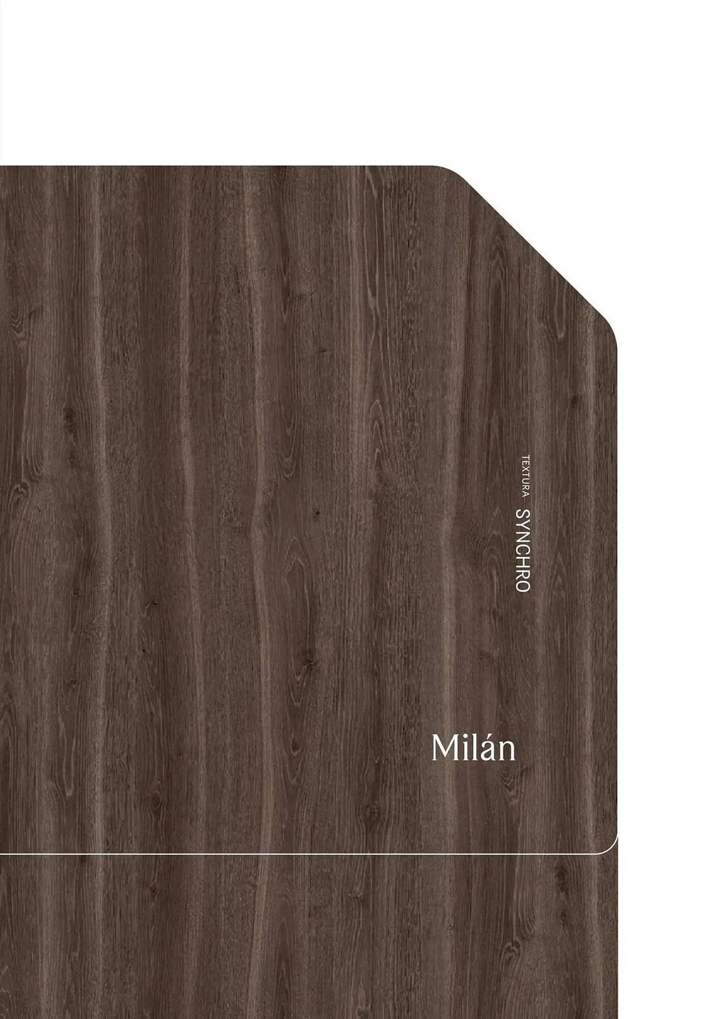 Catalogo de Catálogo Madecentro 1 de enero al 31 de diciembre 2026 - Pag 45