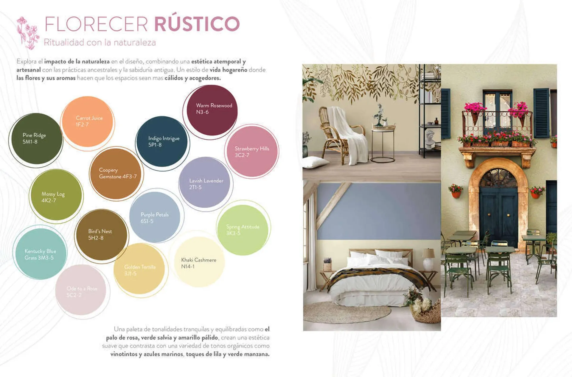 Catalogo de Catálogo Corona Centro de Inspiración 30 de junio al 28 de junio 2024 - Pag 4