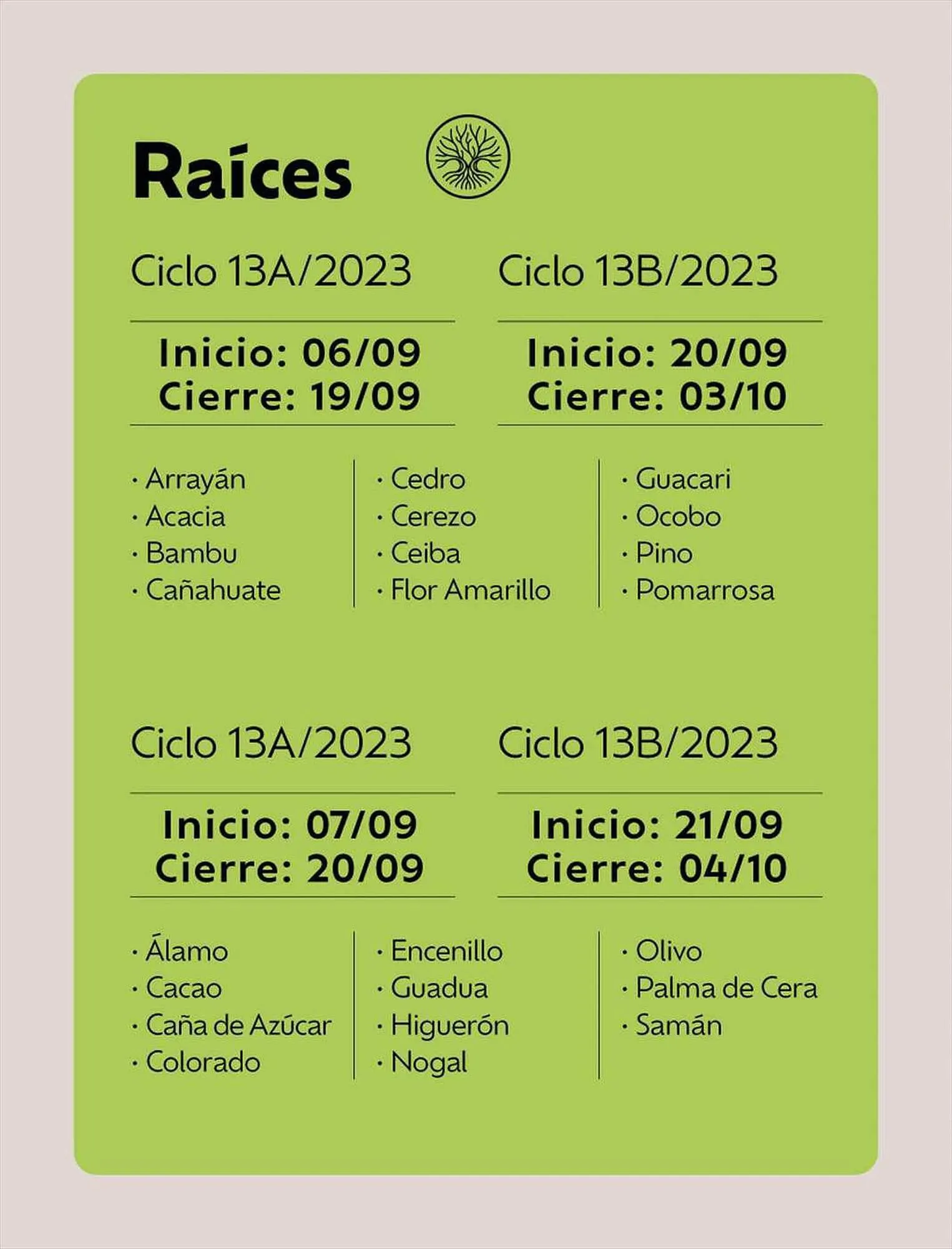 Catalogo de Catálogo Natura 31 de agosto al 2 de septiembre 2023 - Pag 13